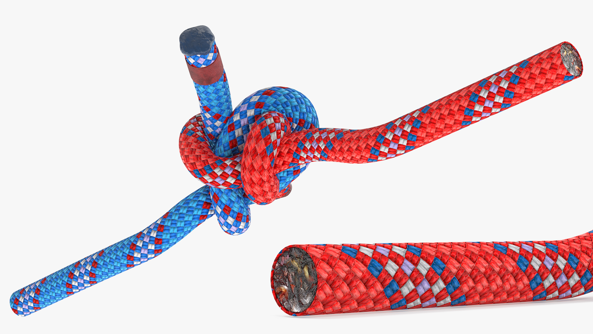 3D model Colored Carrick Bend Knot