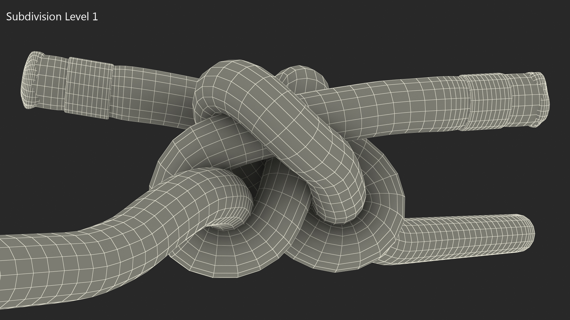 3D model Colored Carrick Bend Knot