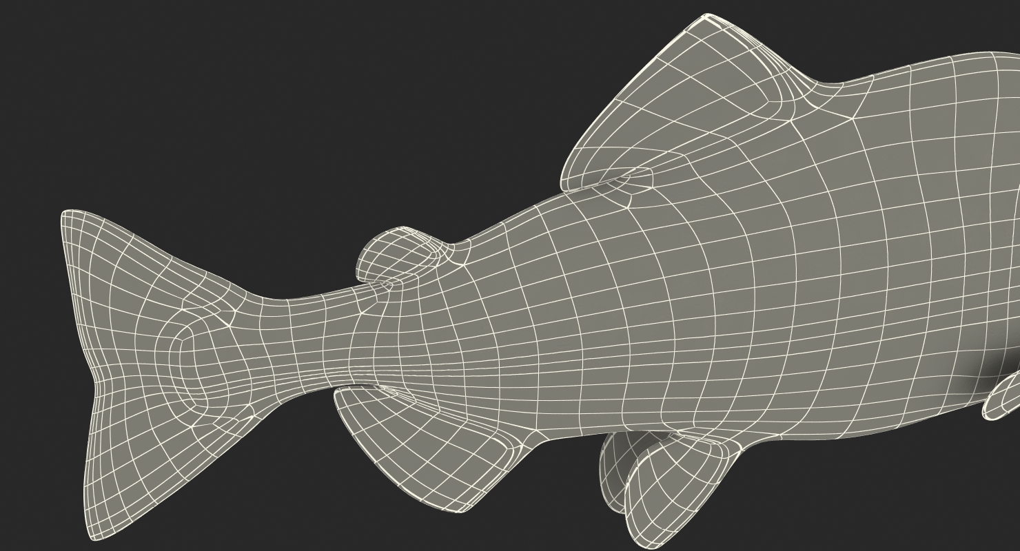 3D Pink Salmon Rigged model