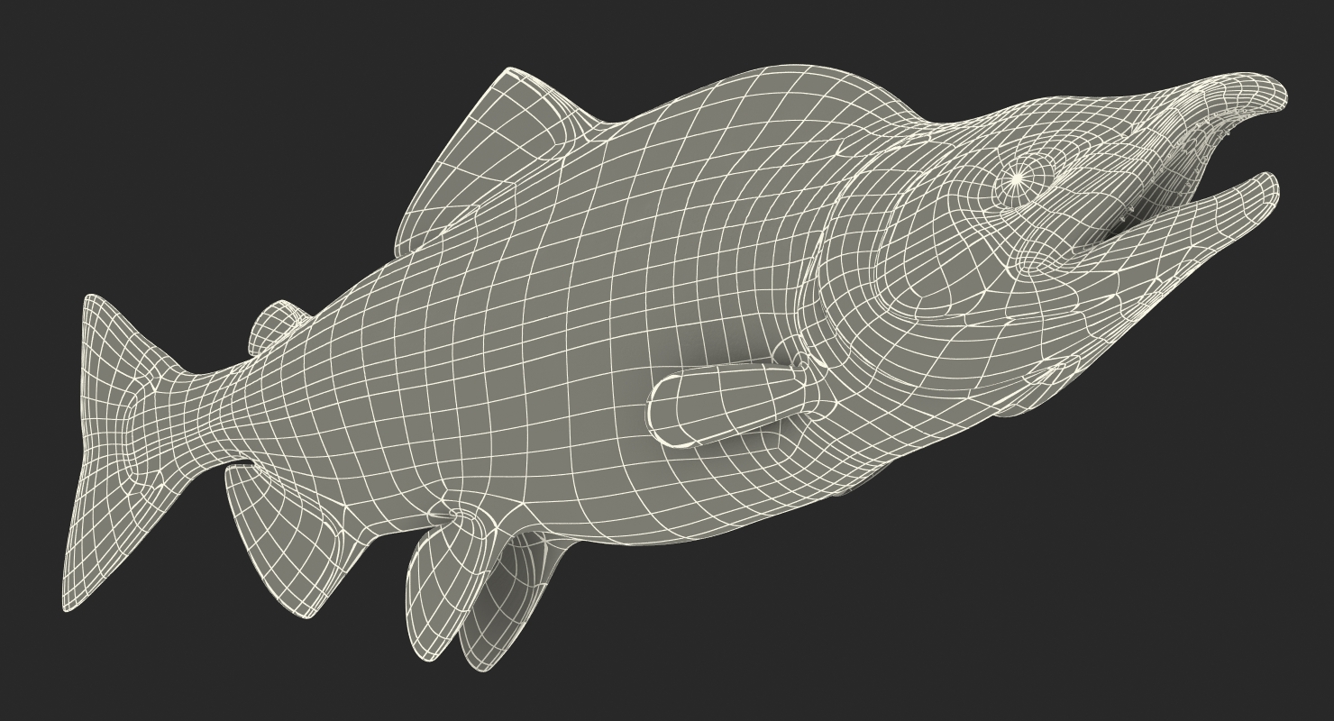 3D Pink Salmon Rigged model