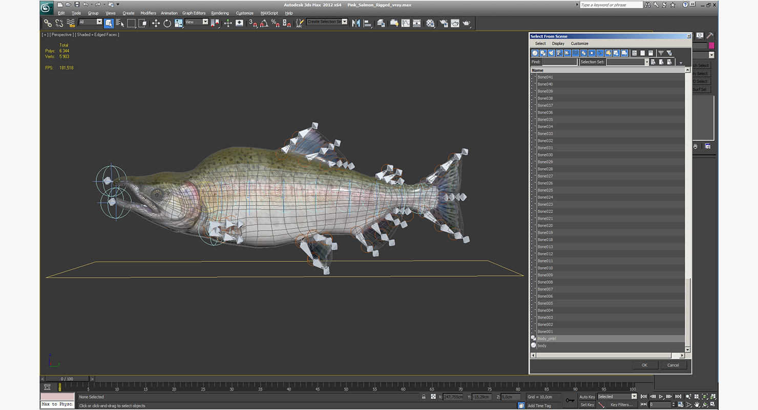 3D Pink Salmon Rigged model