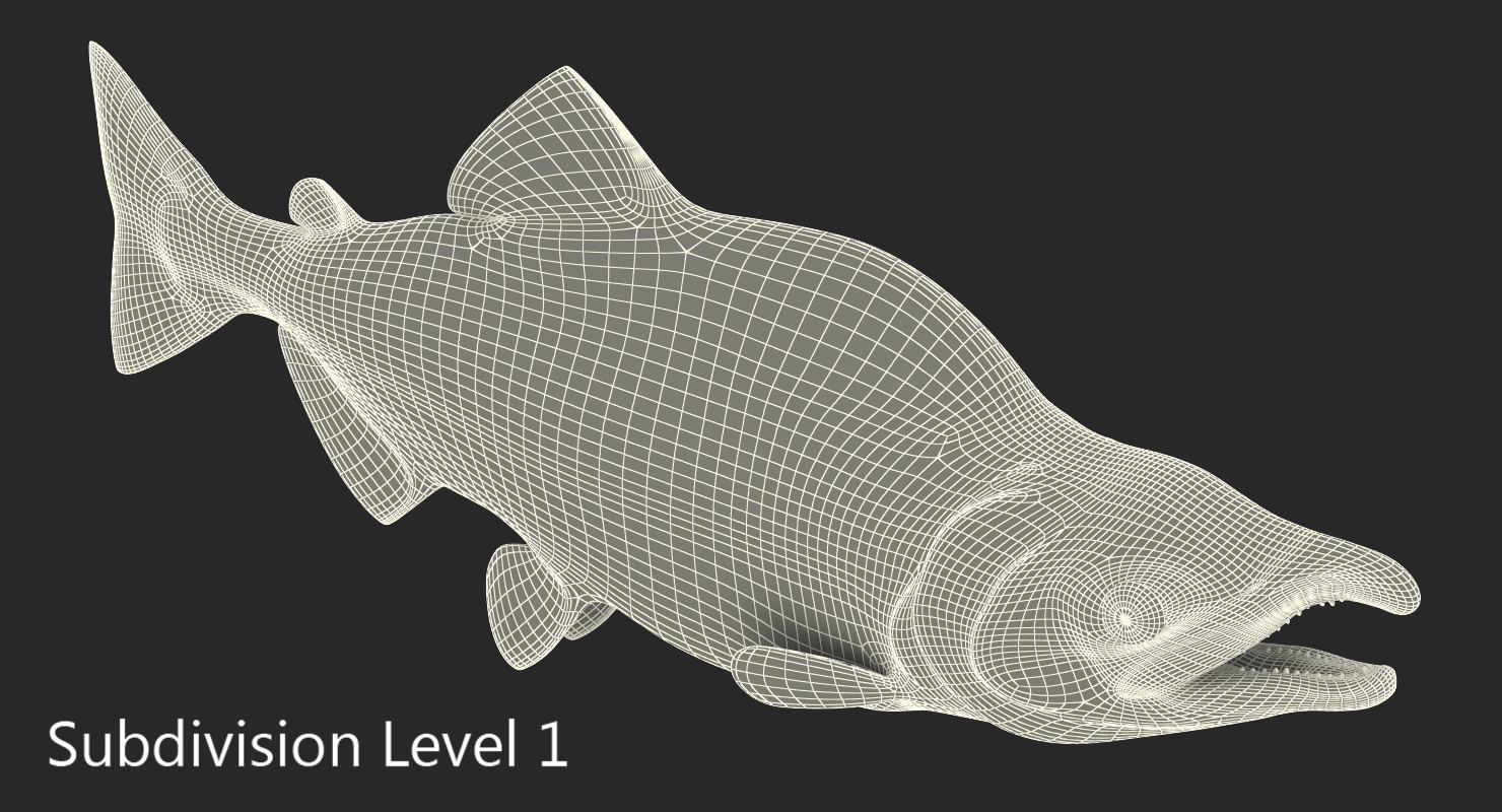 3D Pink Salmon Rigged model