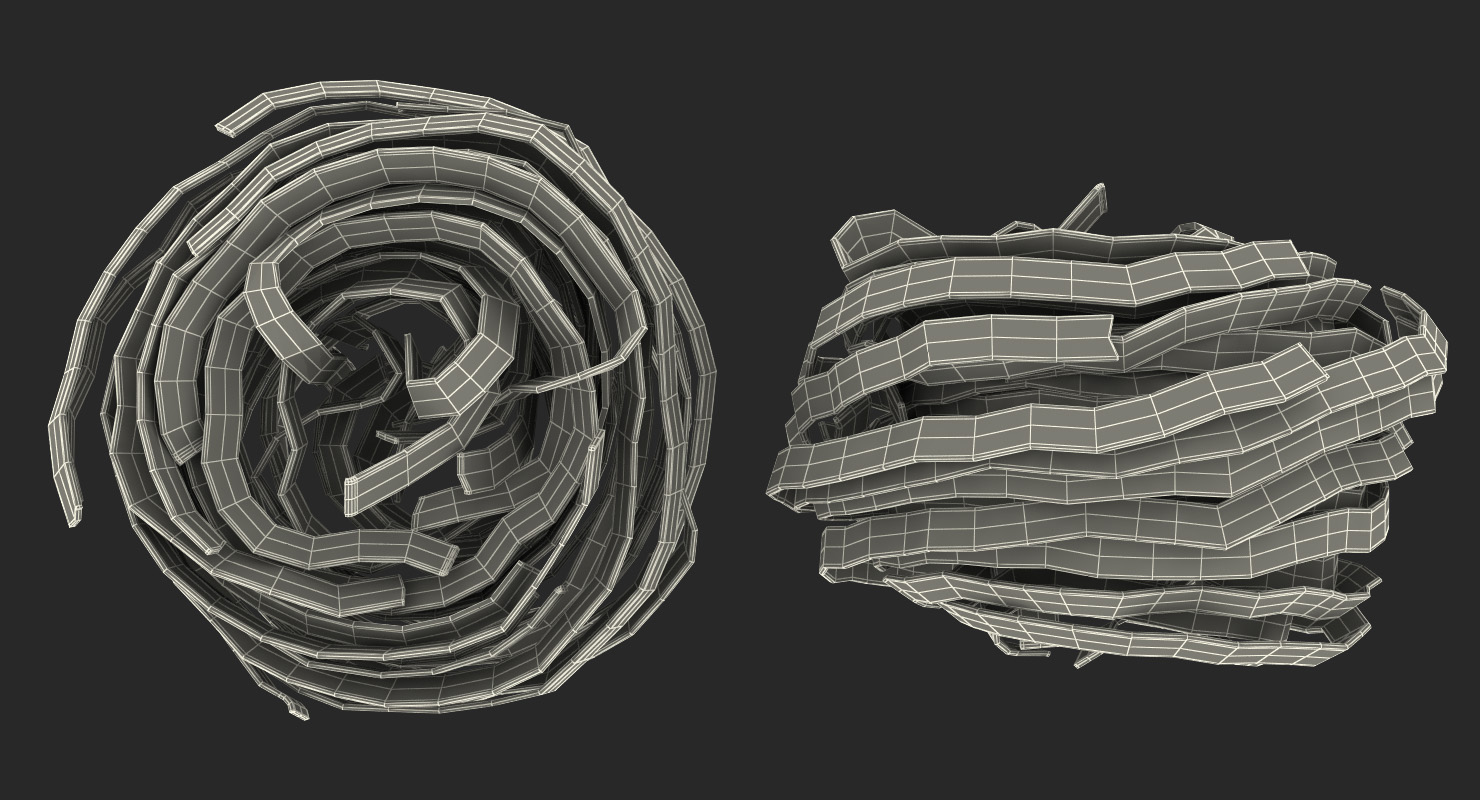 Uncooked Pasta Nest 3D model