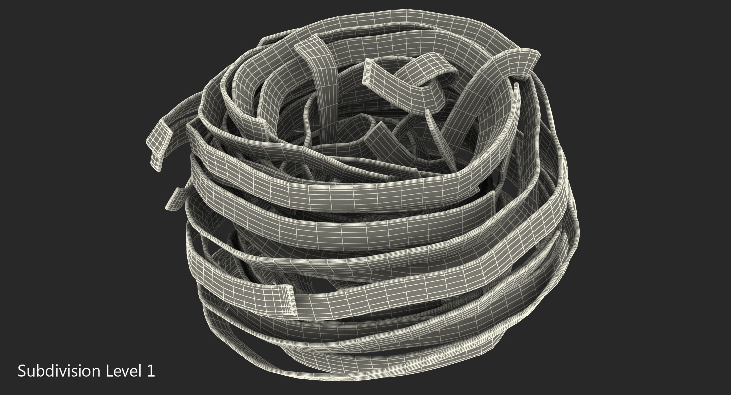 Uncooked Pasta Nest 3D model