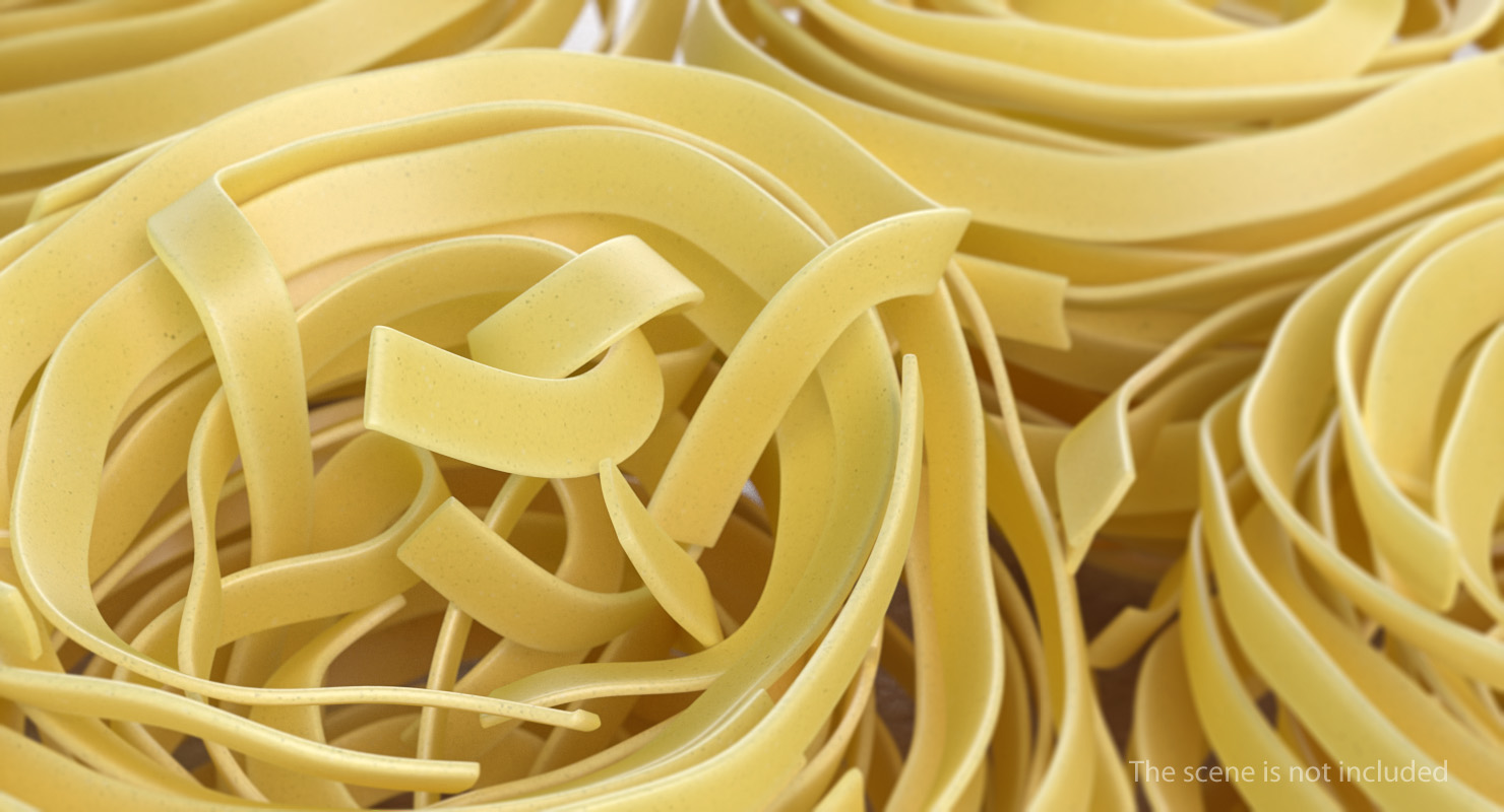 Uncooked Pasta Nest 3D model