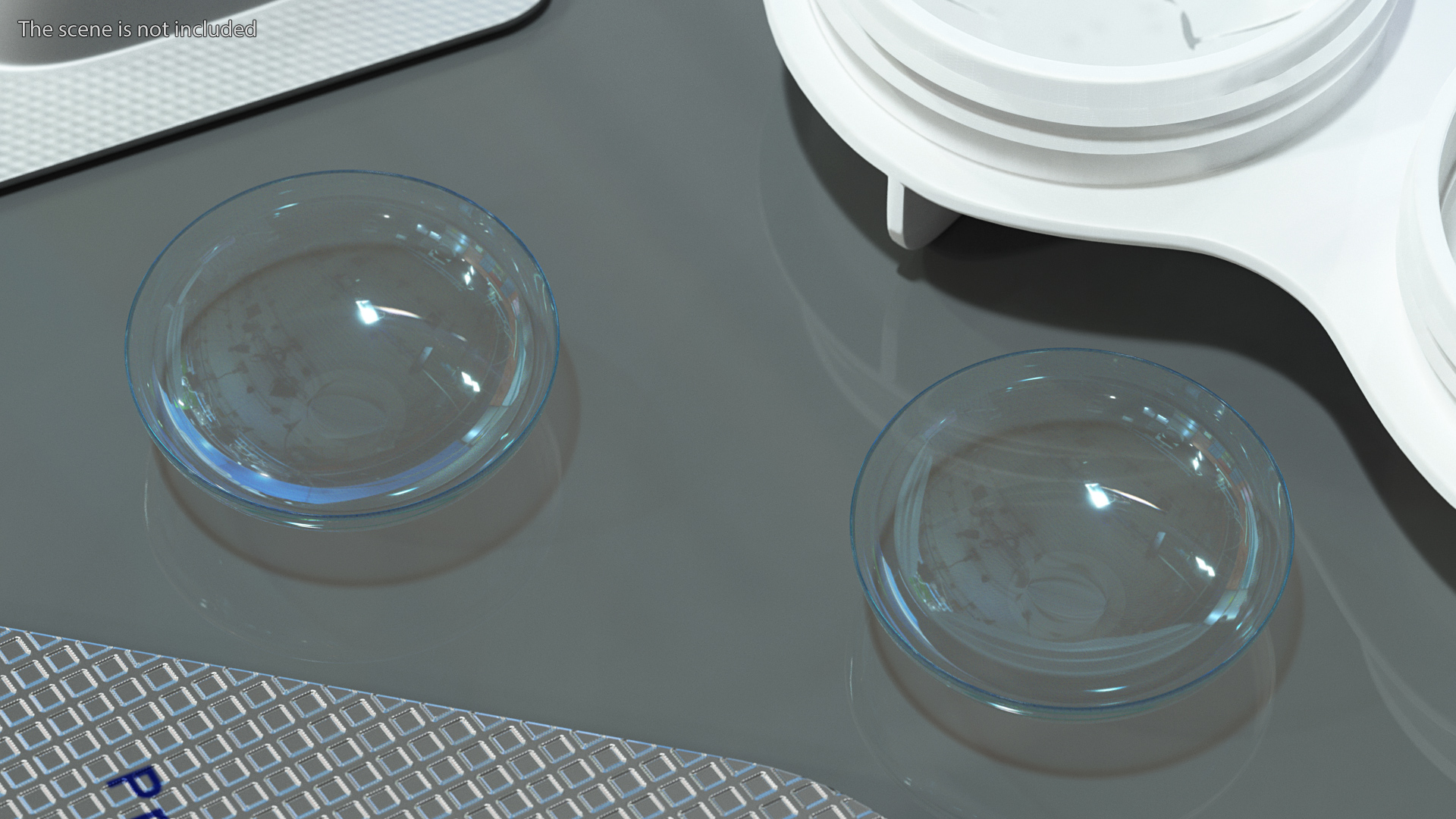 3D model Clear Contact Lenses