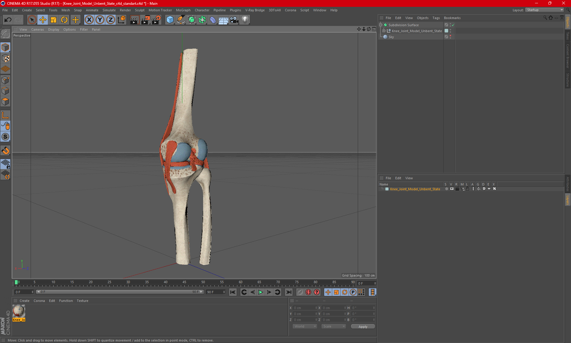 Knee Joint Model Unbent State 3D model