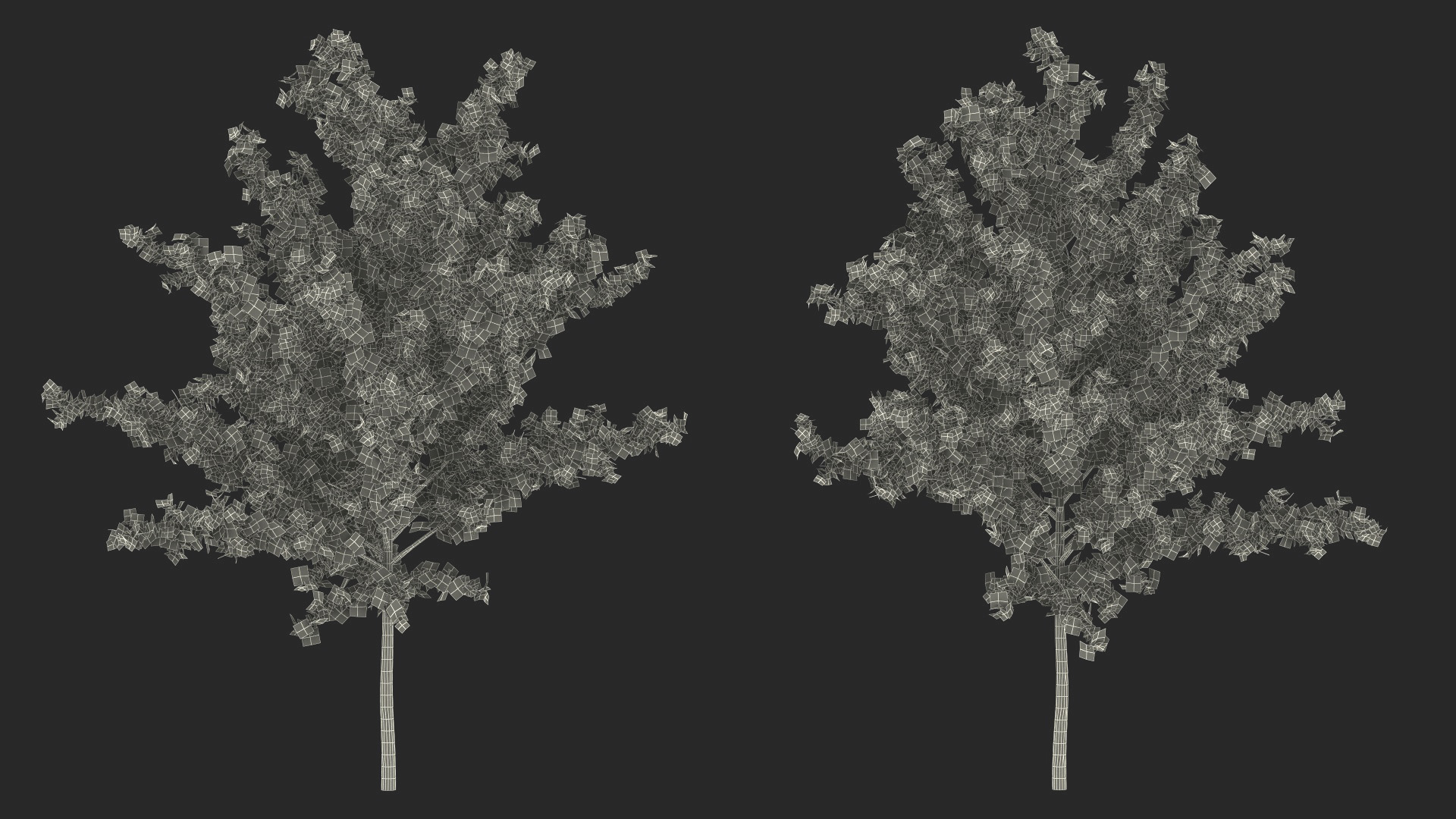 3D Autumn Young Maple Tree model