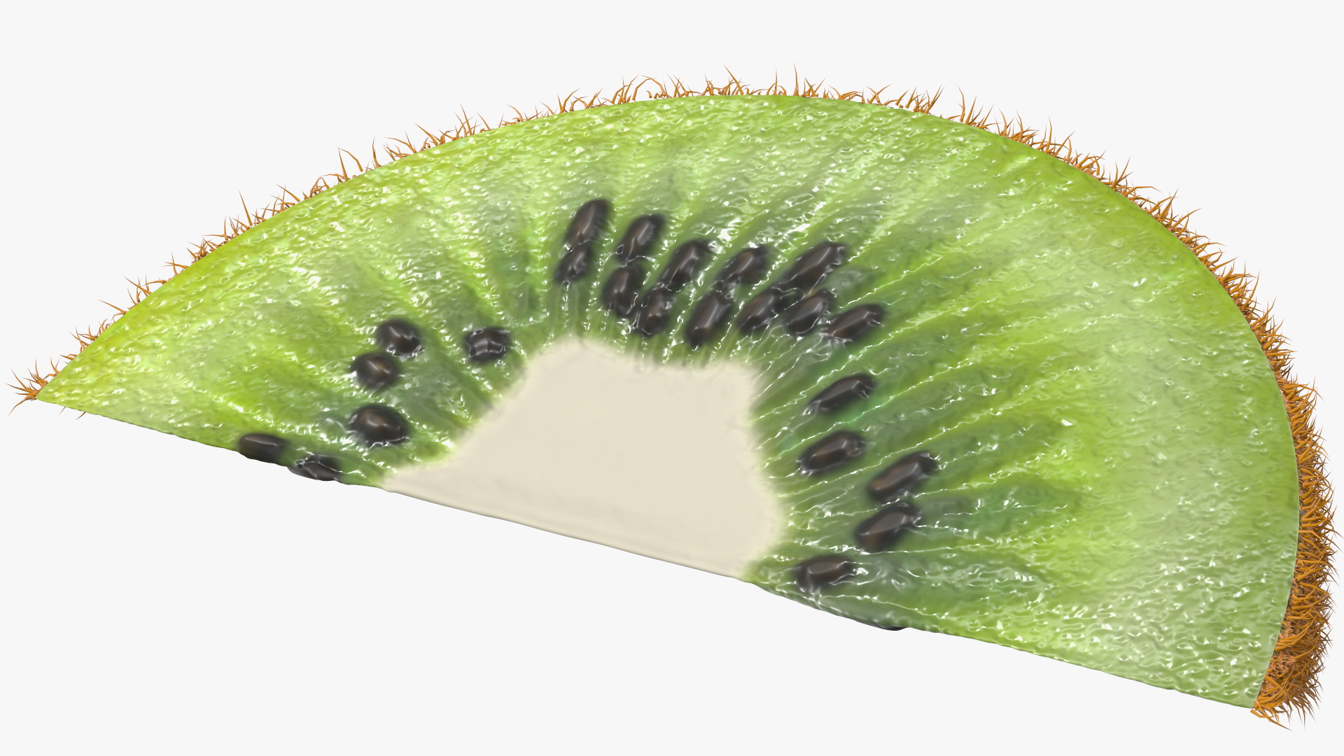 3D model Half Kiwi Slices Fur