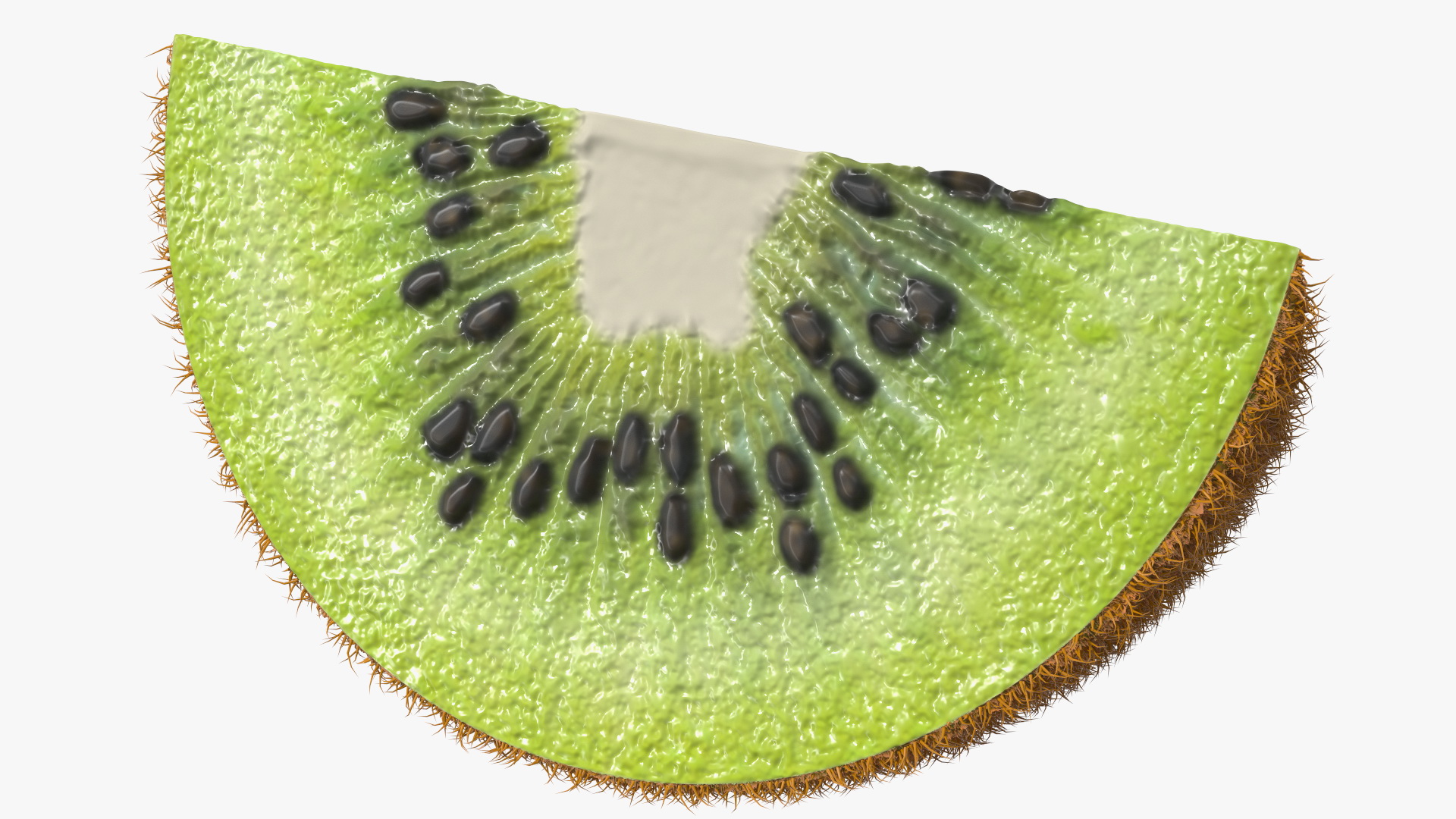 3D model Half Kiwi Slices Fur