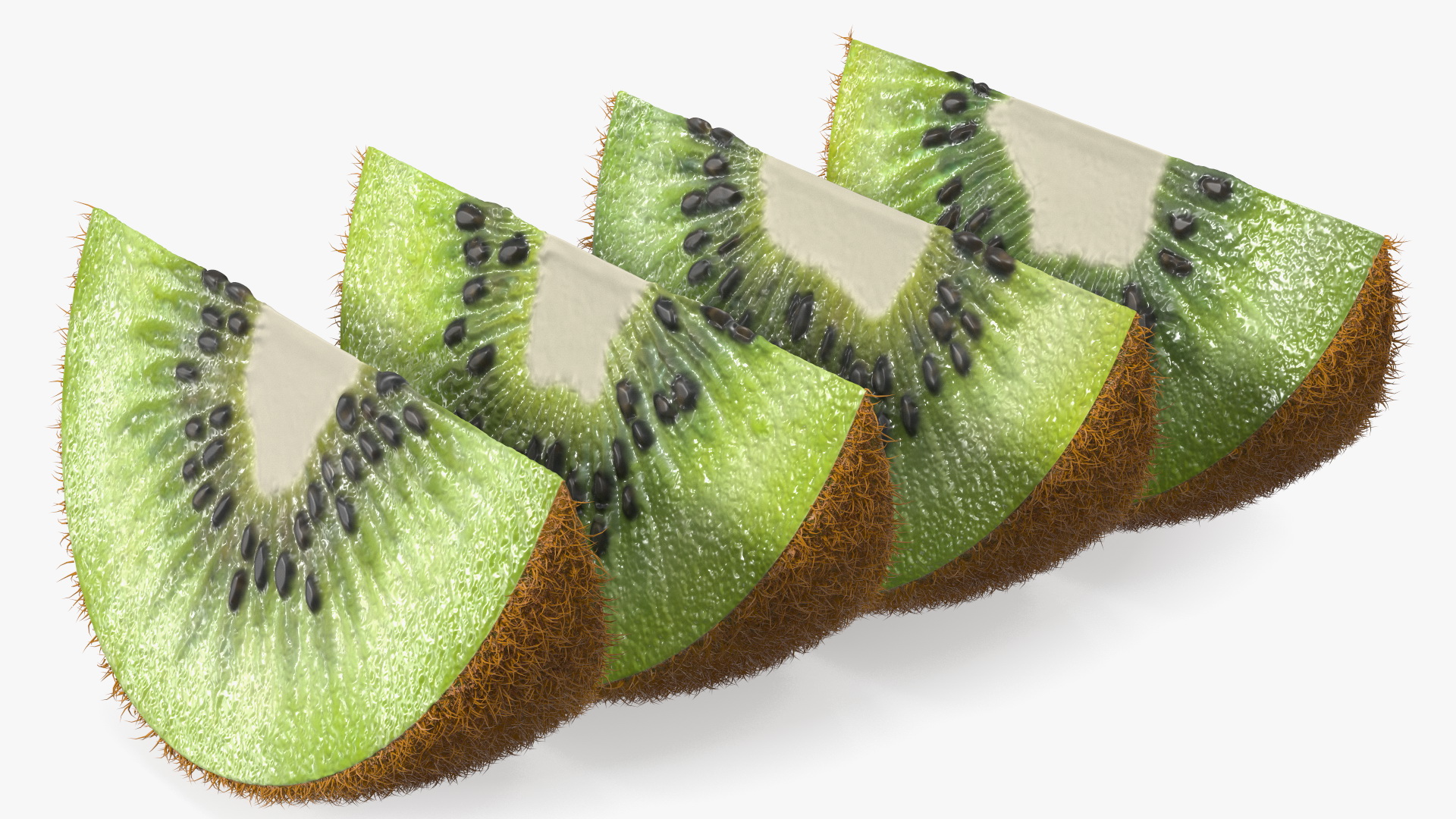 3D model Half Kiwi Slices Fur