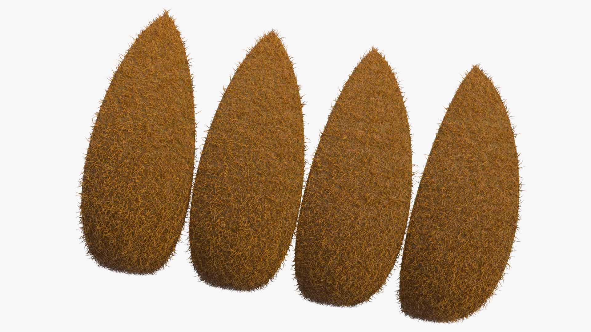 3D model Half Kiwi Slices Fur