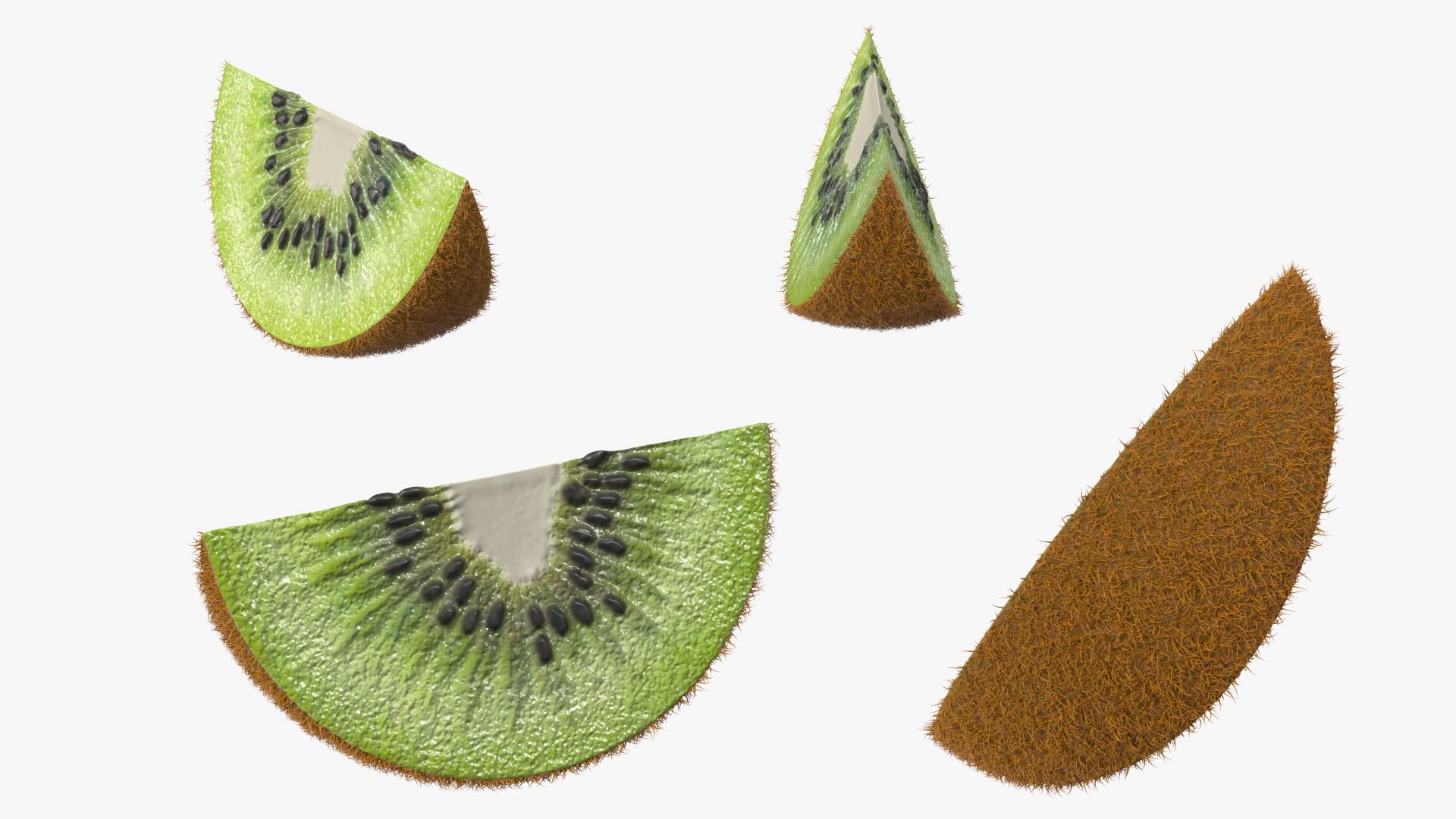 3D model Half Kiwi Slices Fur