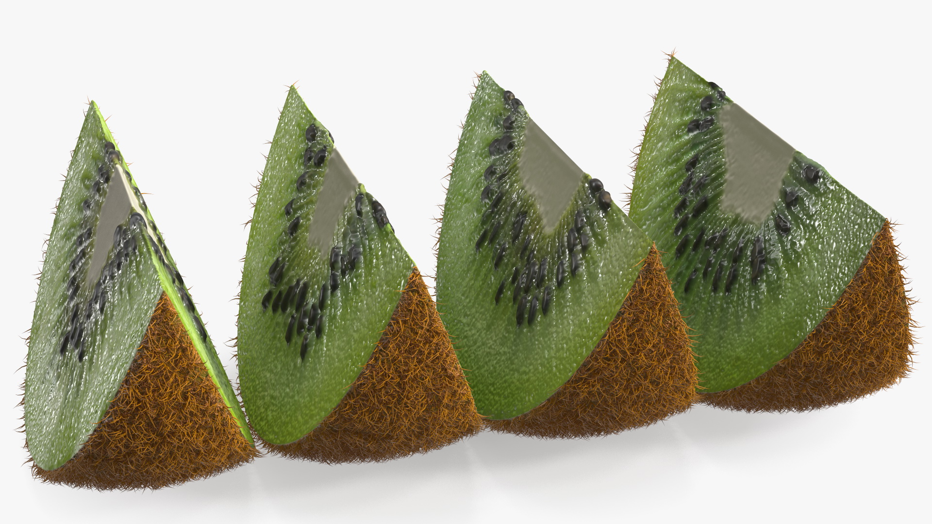 3D model Half Kiwi Slices Fur