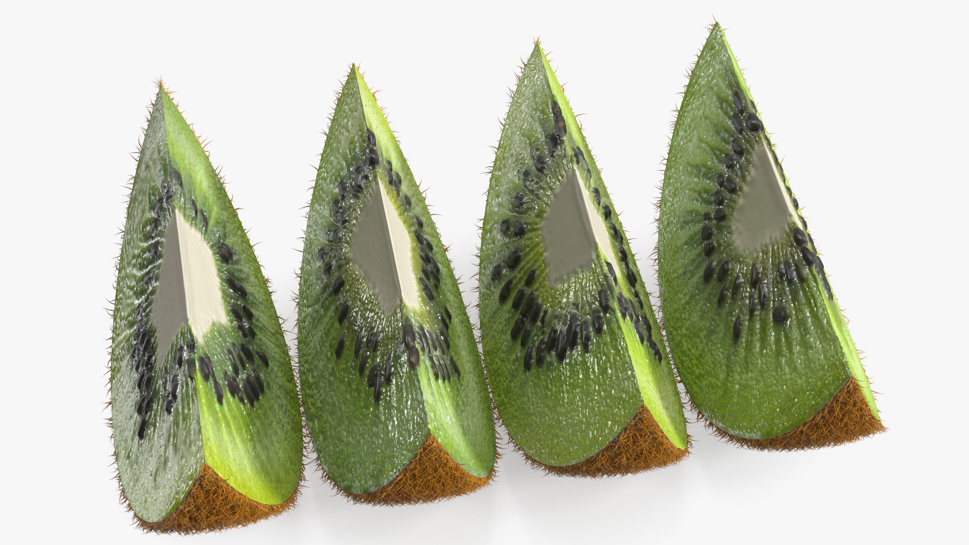 3D model Half Kiwi Slices Fur