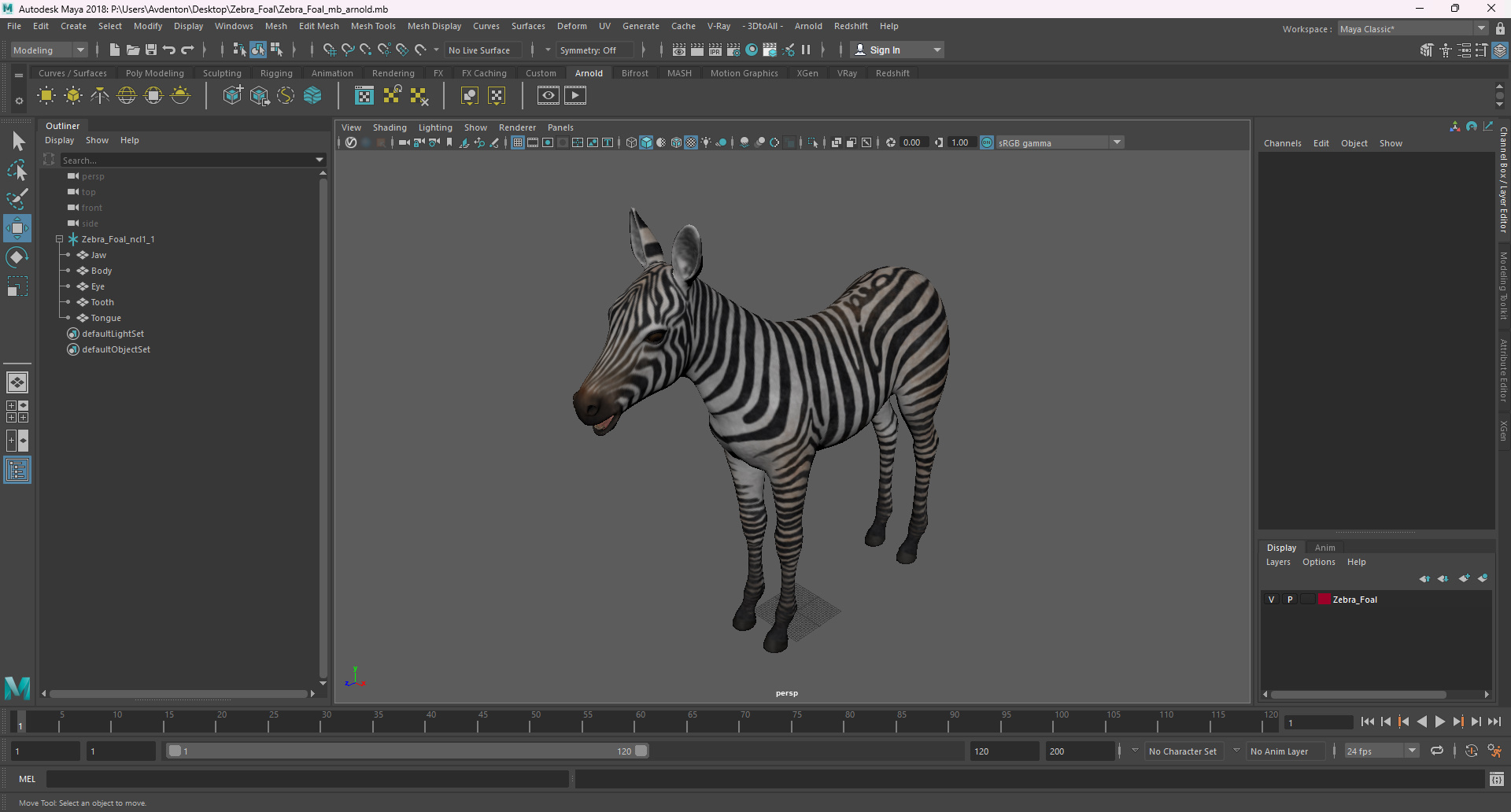 3D model Zebra Foal