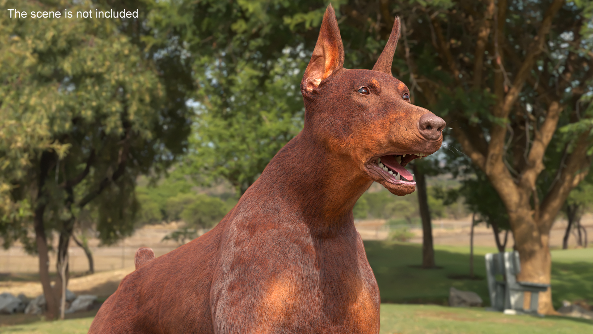 Doberman Dog Brown Fur Rigged 3D model