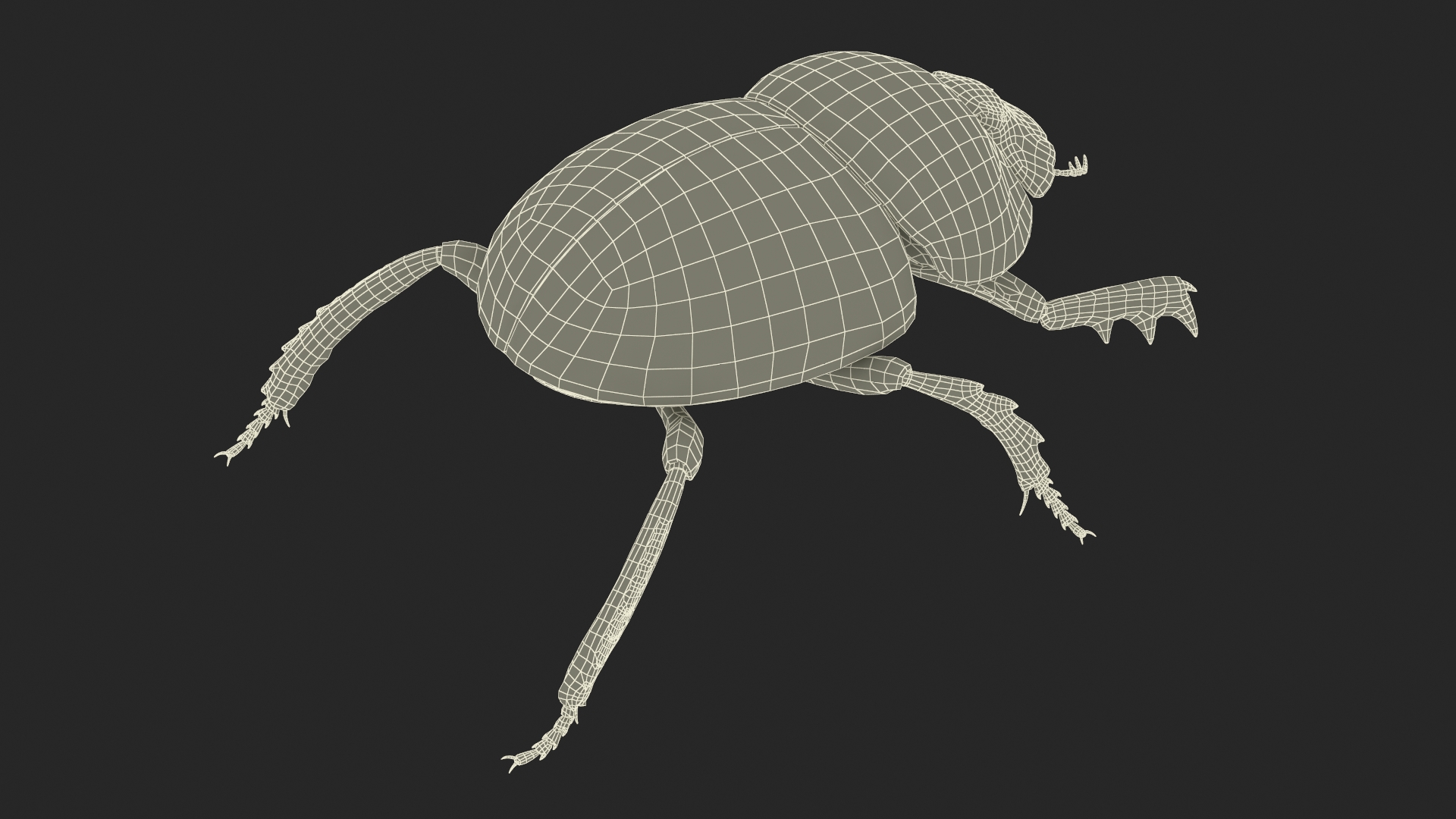 3D model Roller Beetle Rigged