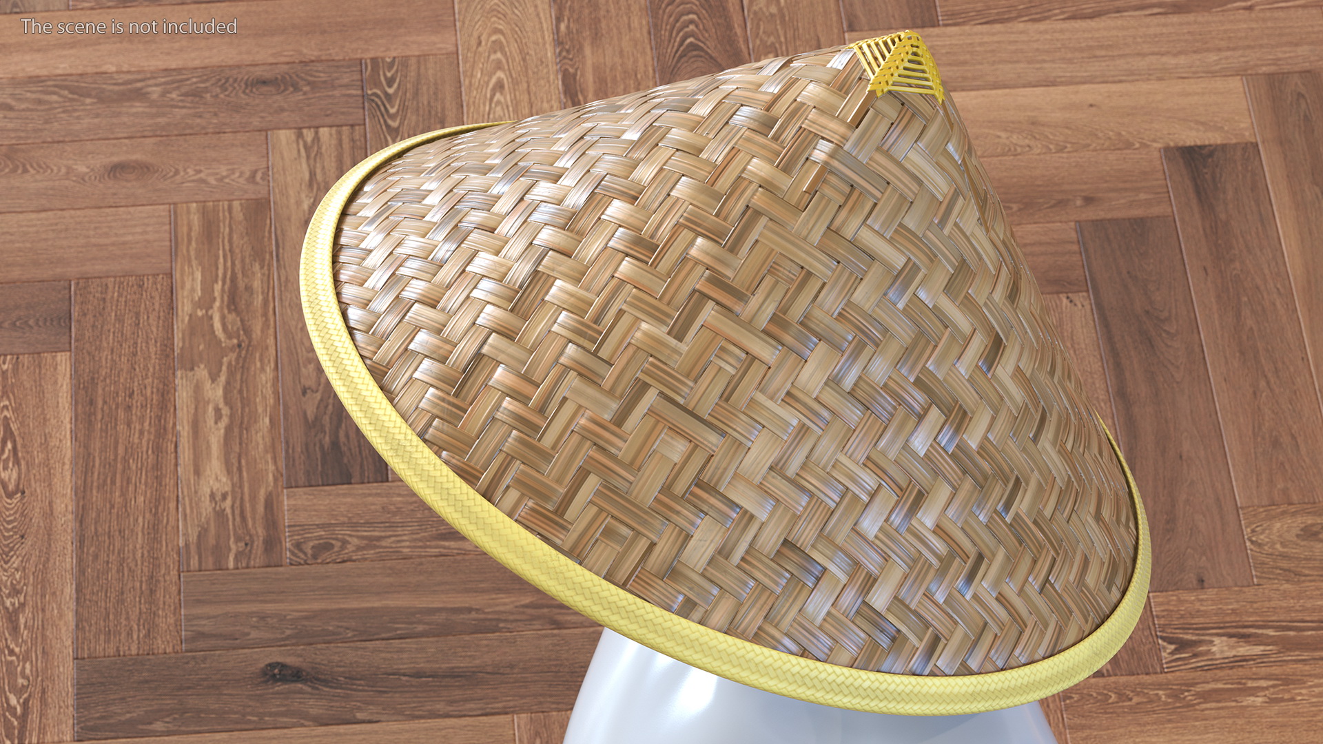 Asian Conical Hat 3D