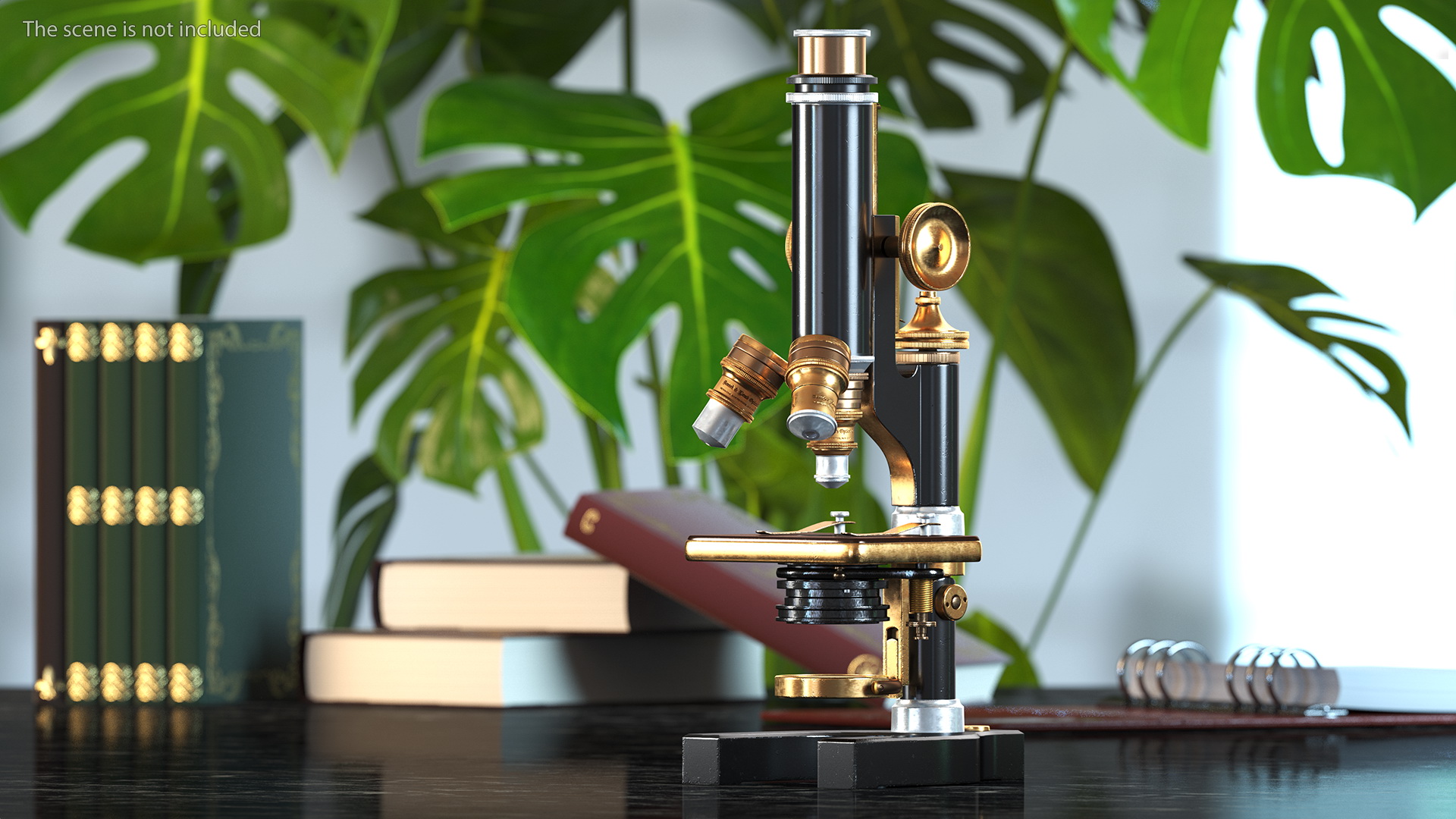 Antique Microscope Black 3D model