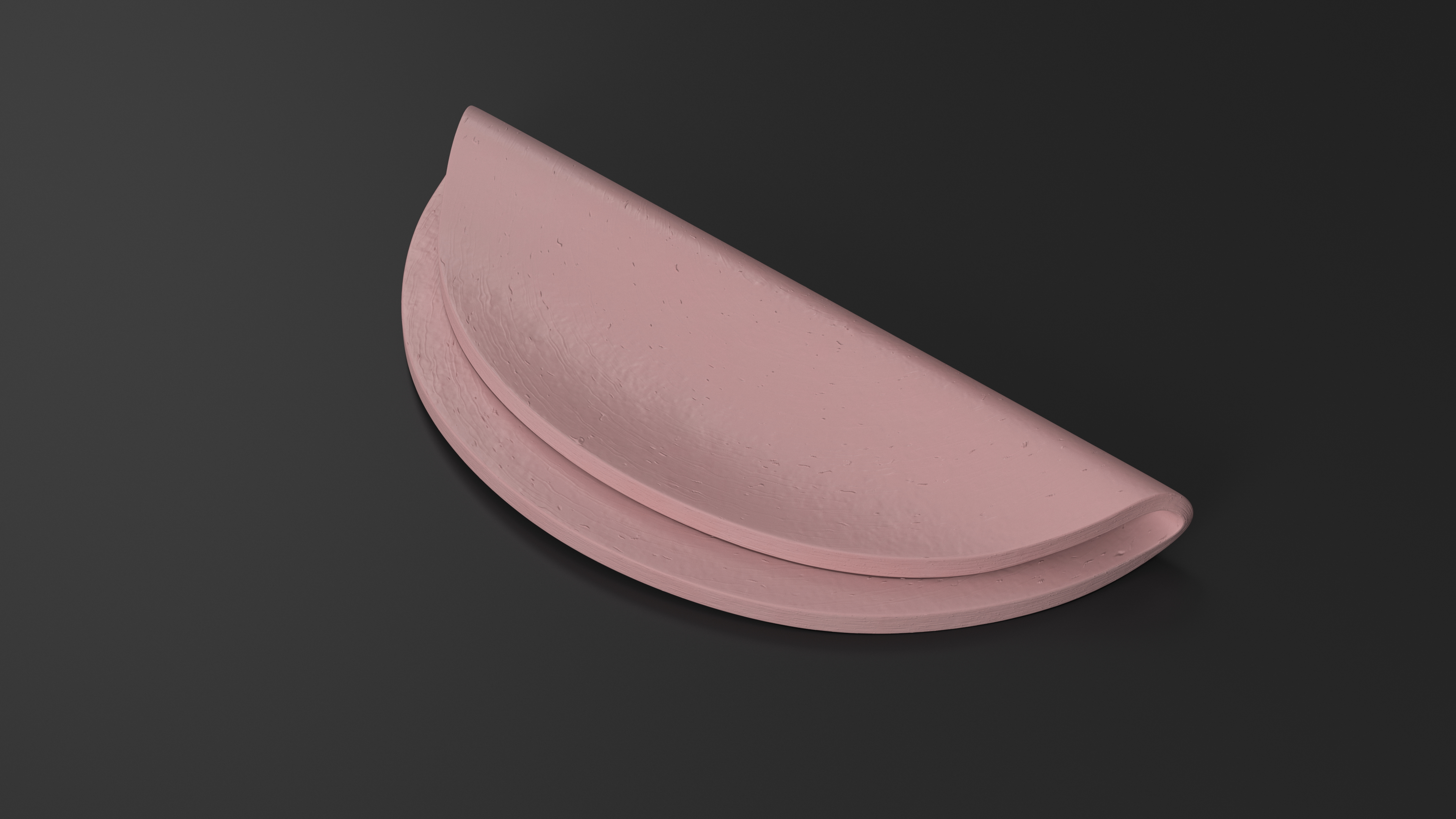 3D model Slice Boiled Sausage