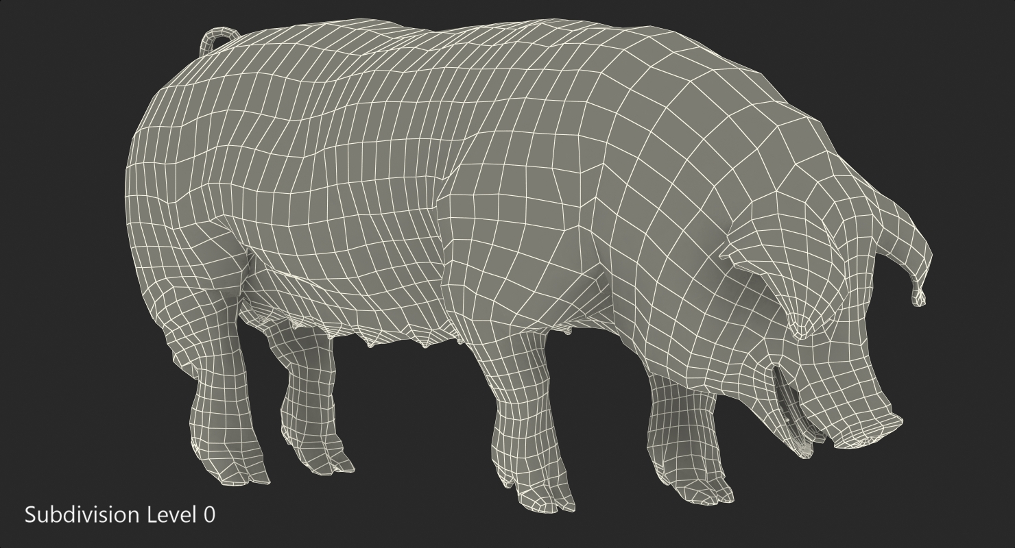 Pig Sow Landrace Standing Pose with Fur 3D model