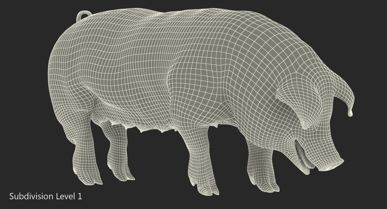 Pig Sow Landrace Standing Pose with Fur 3D model