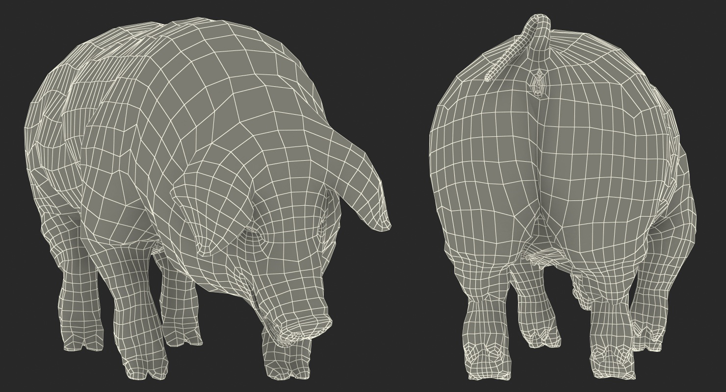 Pig Sow Landrace Standing Pose with Fur 3D model