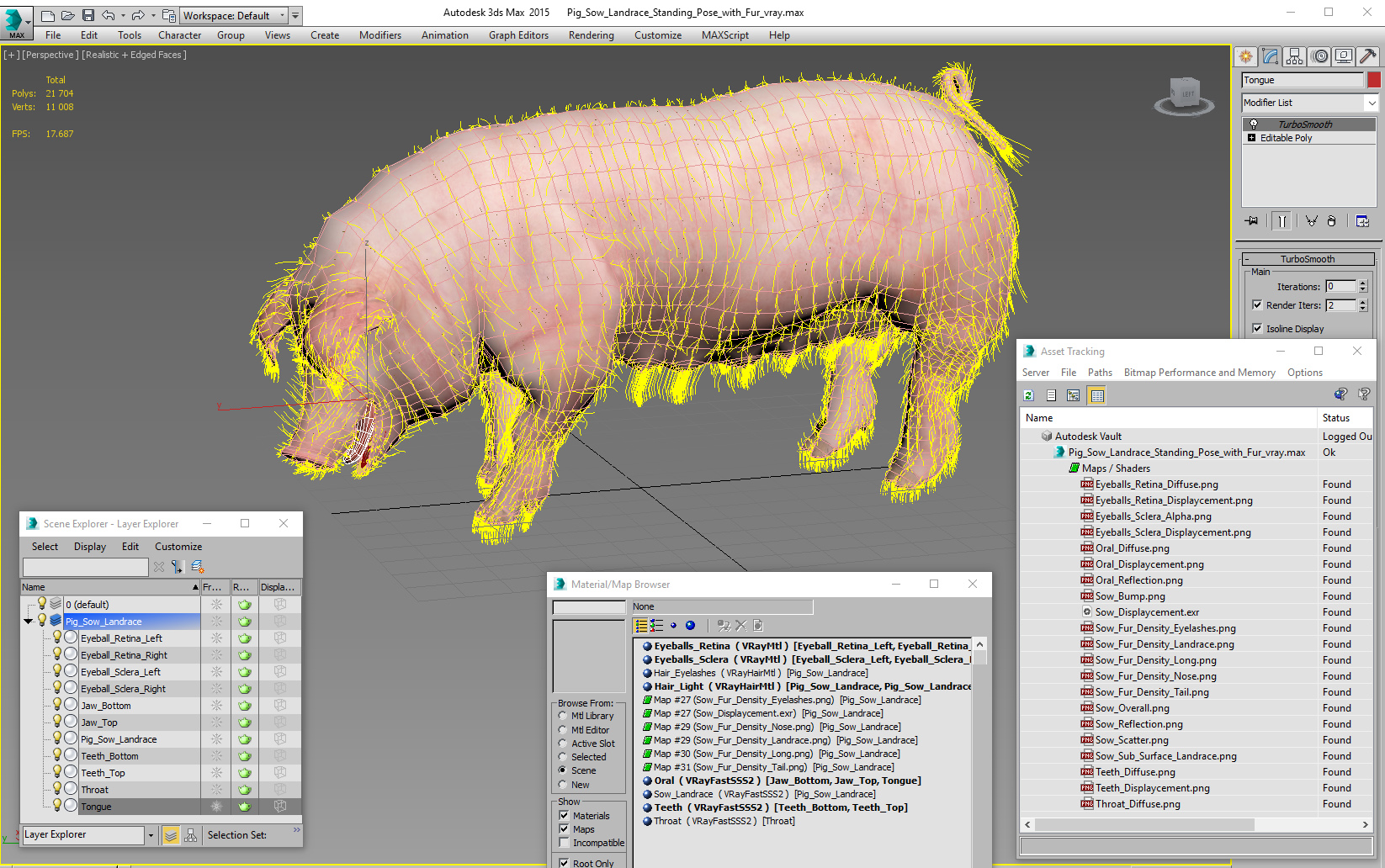 Pig Sow Landrace Standing Pose with Fur 3D model