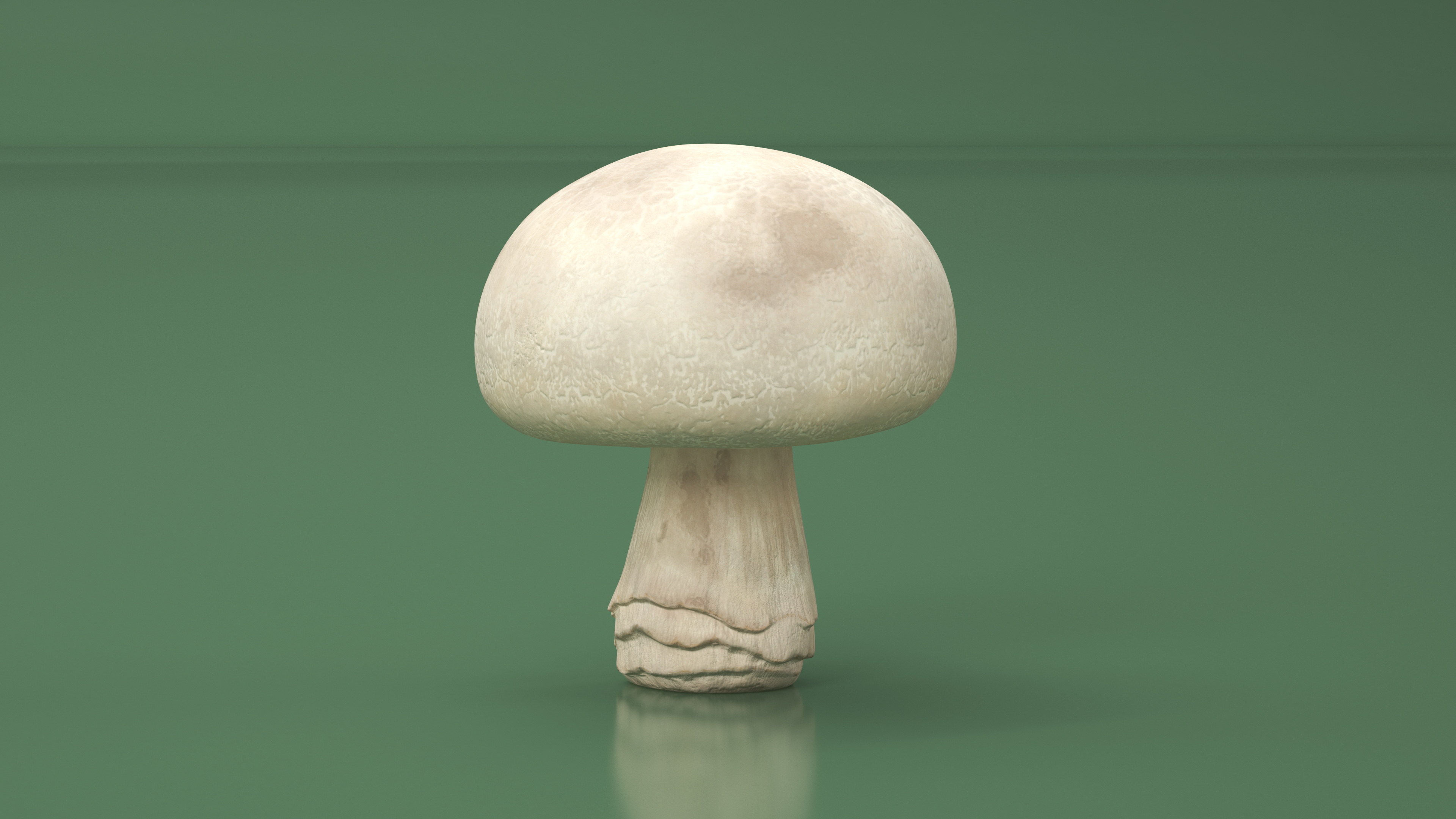 3D model Champignon