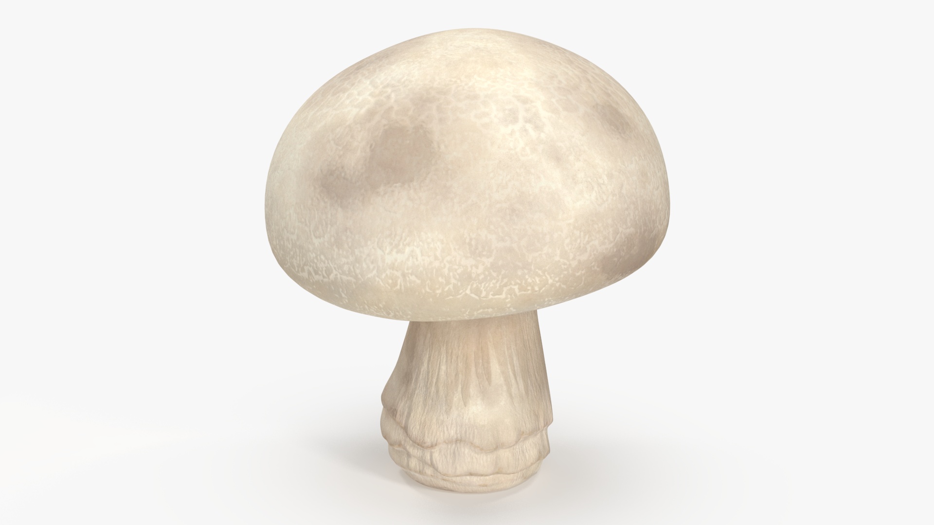 3D model Champignon