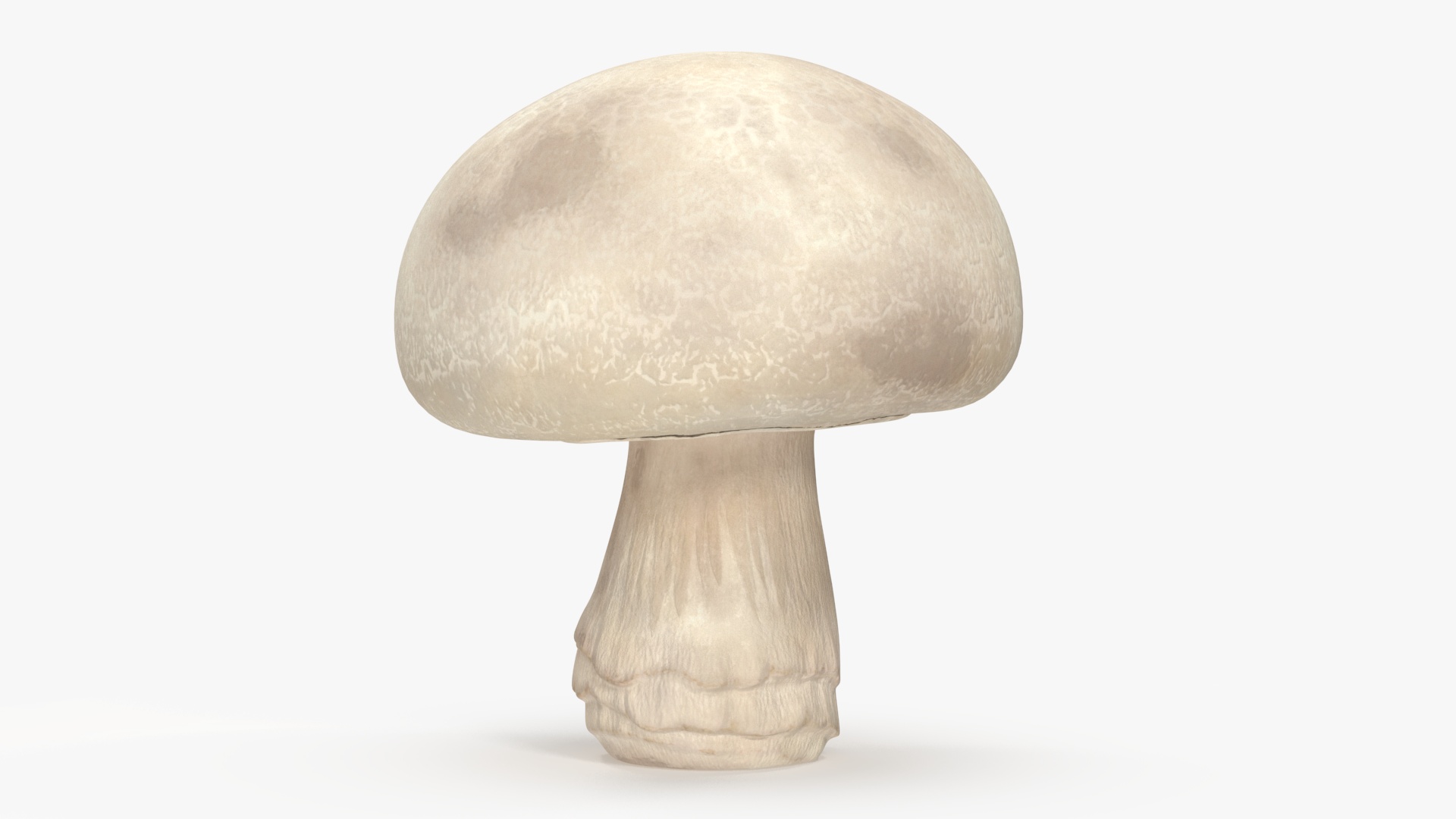 3D model Champignon