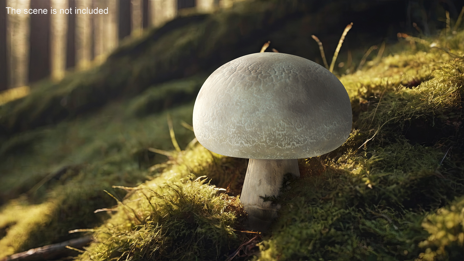 3D model Champignon