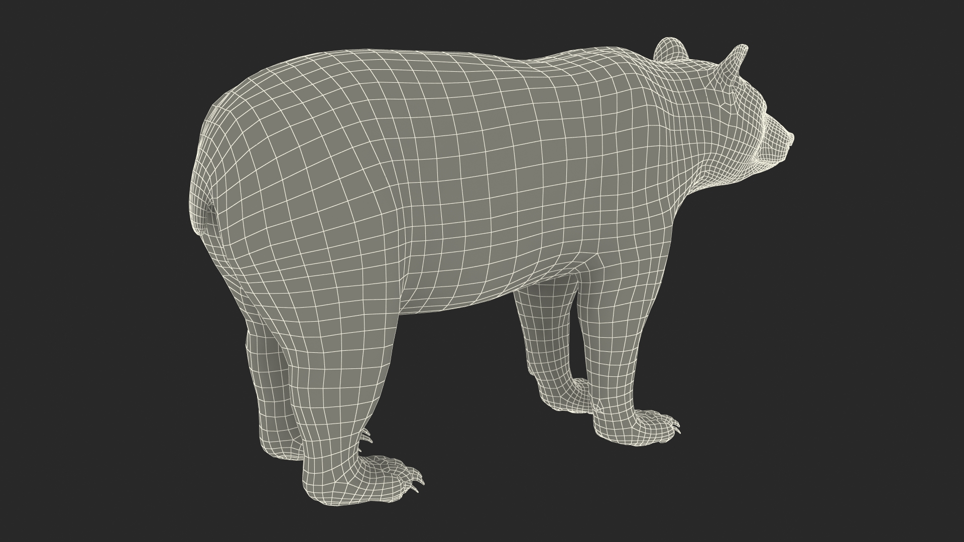 3D Black Bear Rigged for Maya