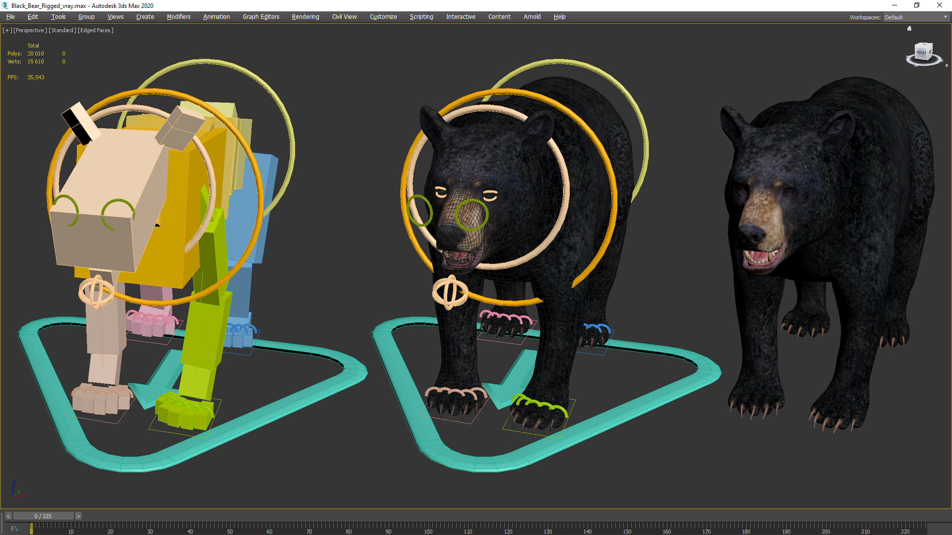 3D Black Bear Rigged for Maya