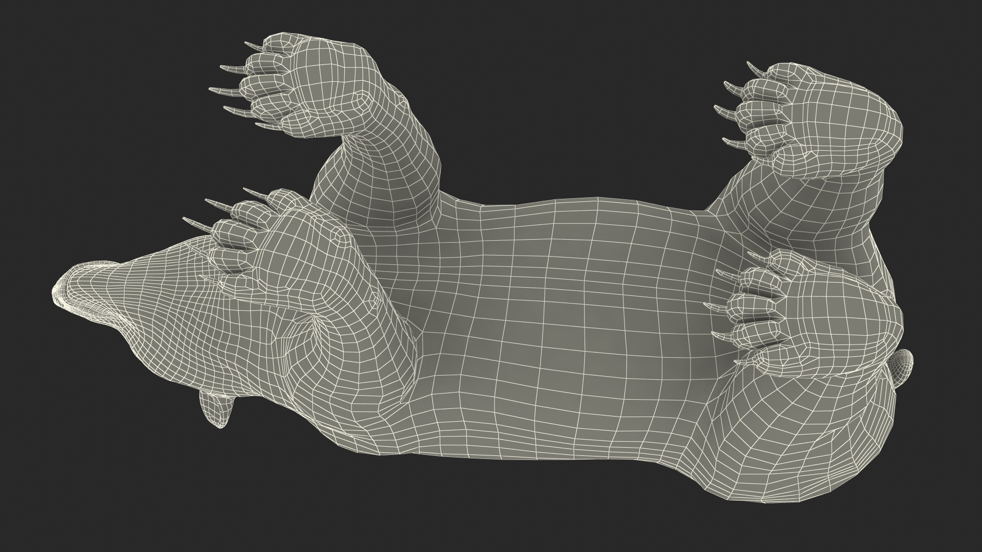 3D Black Bear Rigged for Maya