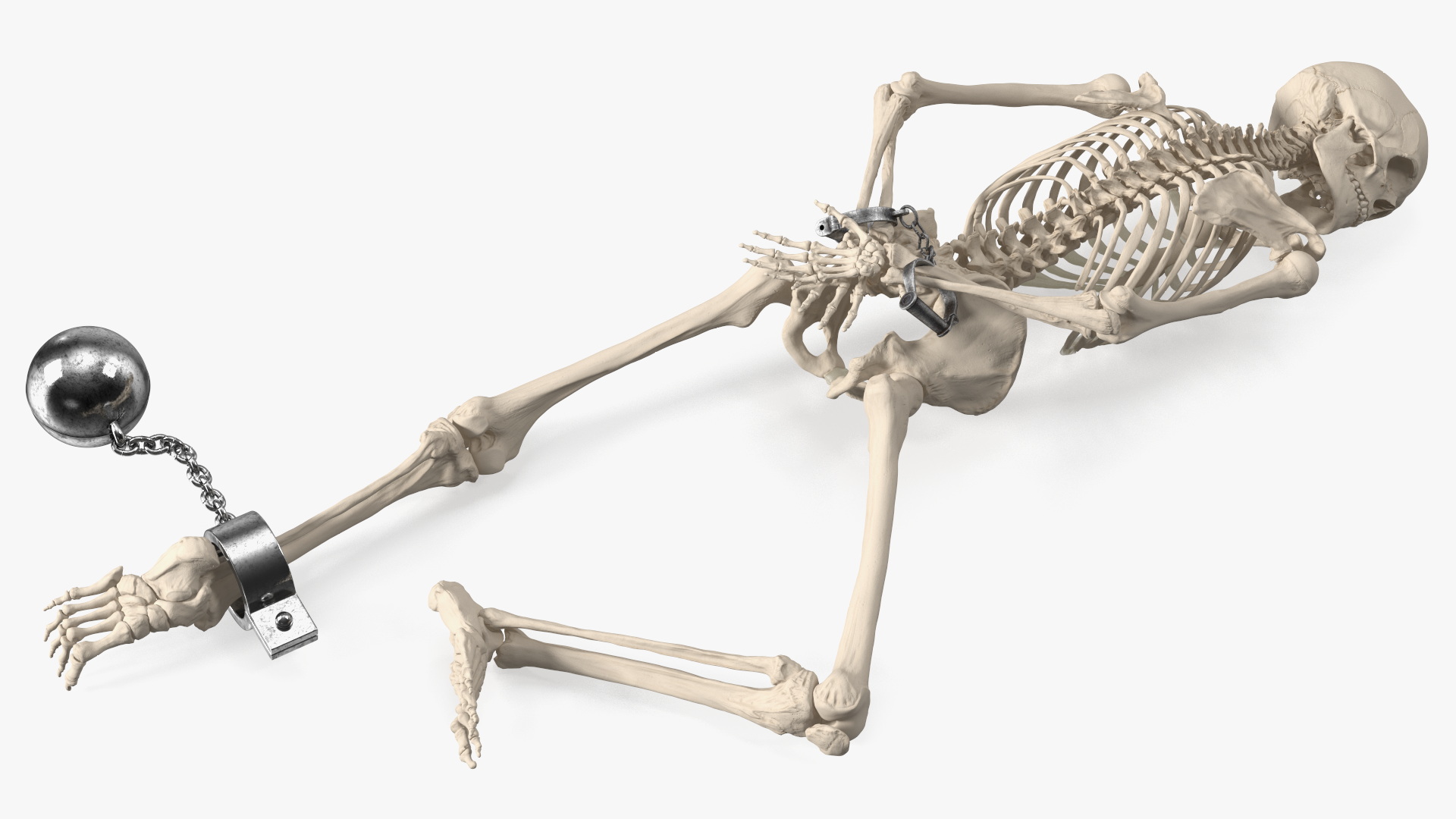 3D Dead Human Male Skeleton Shackled model