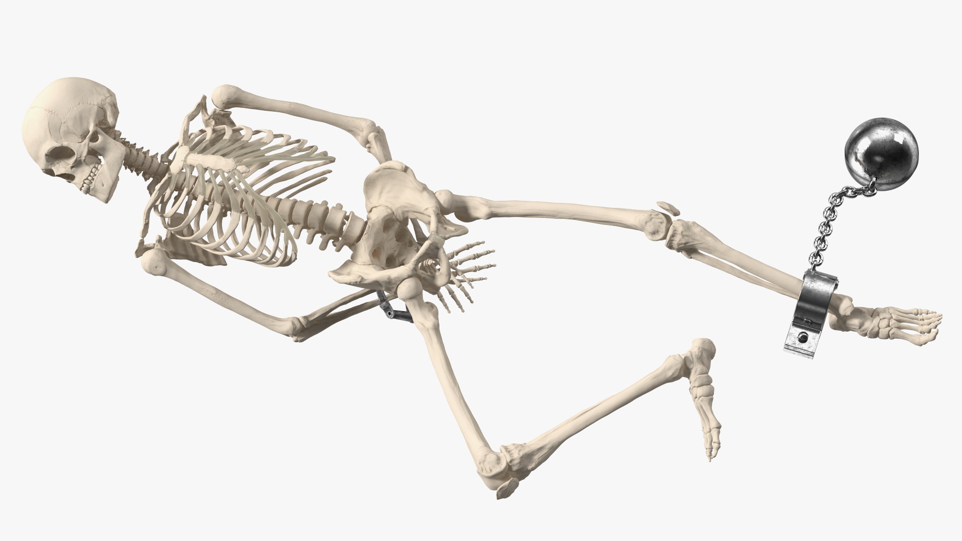 3D Dead Human Male Skeleton Shackled model