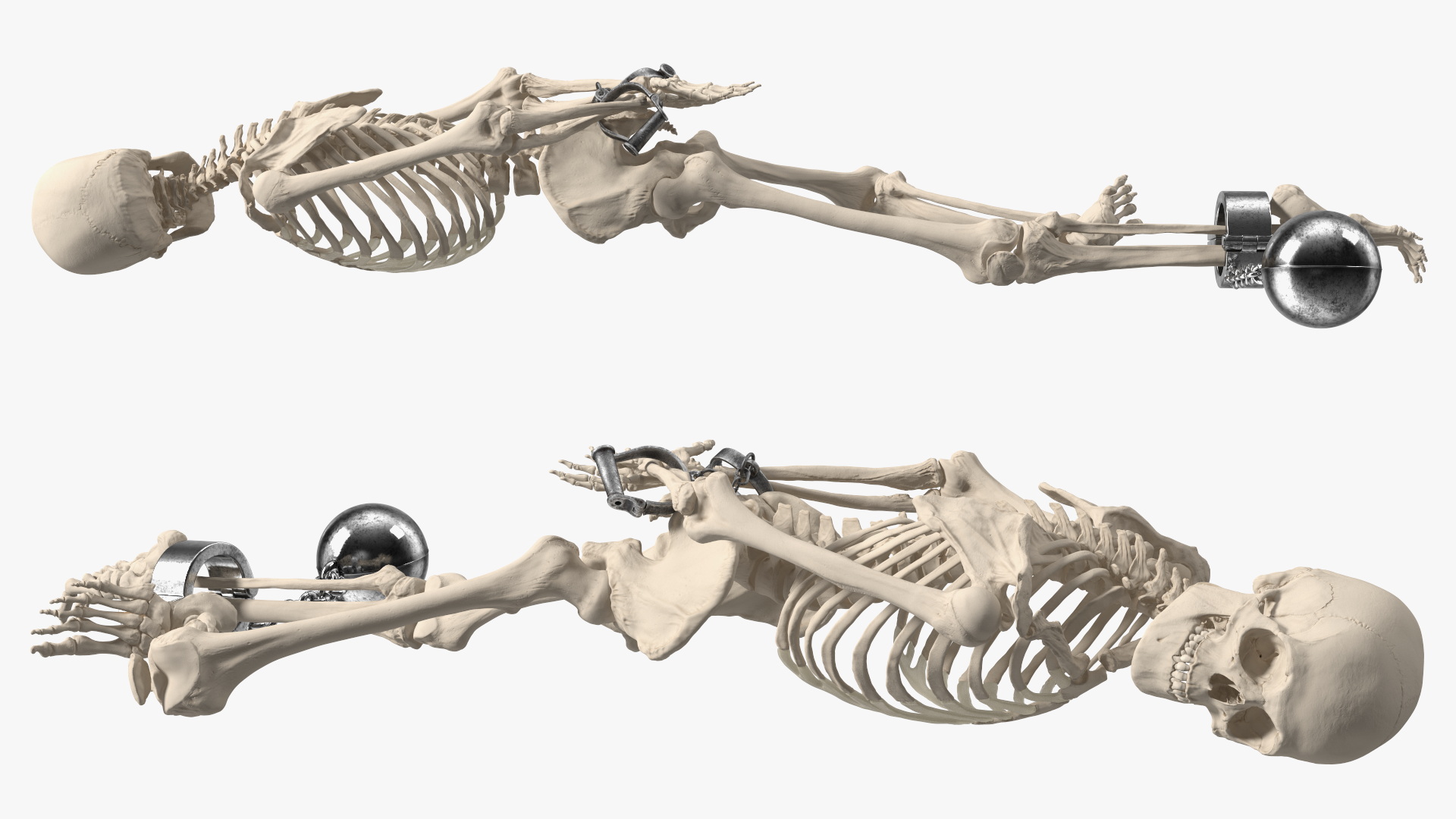 3D Dead Human Male Skeleton Shackled model