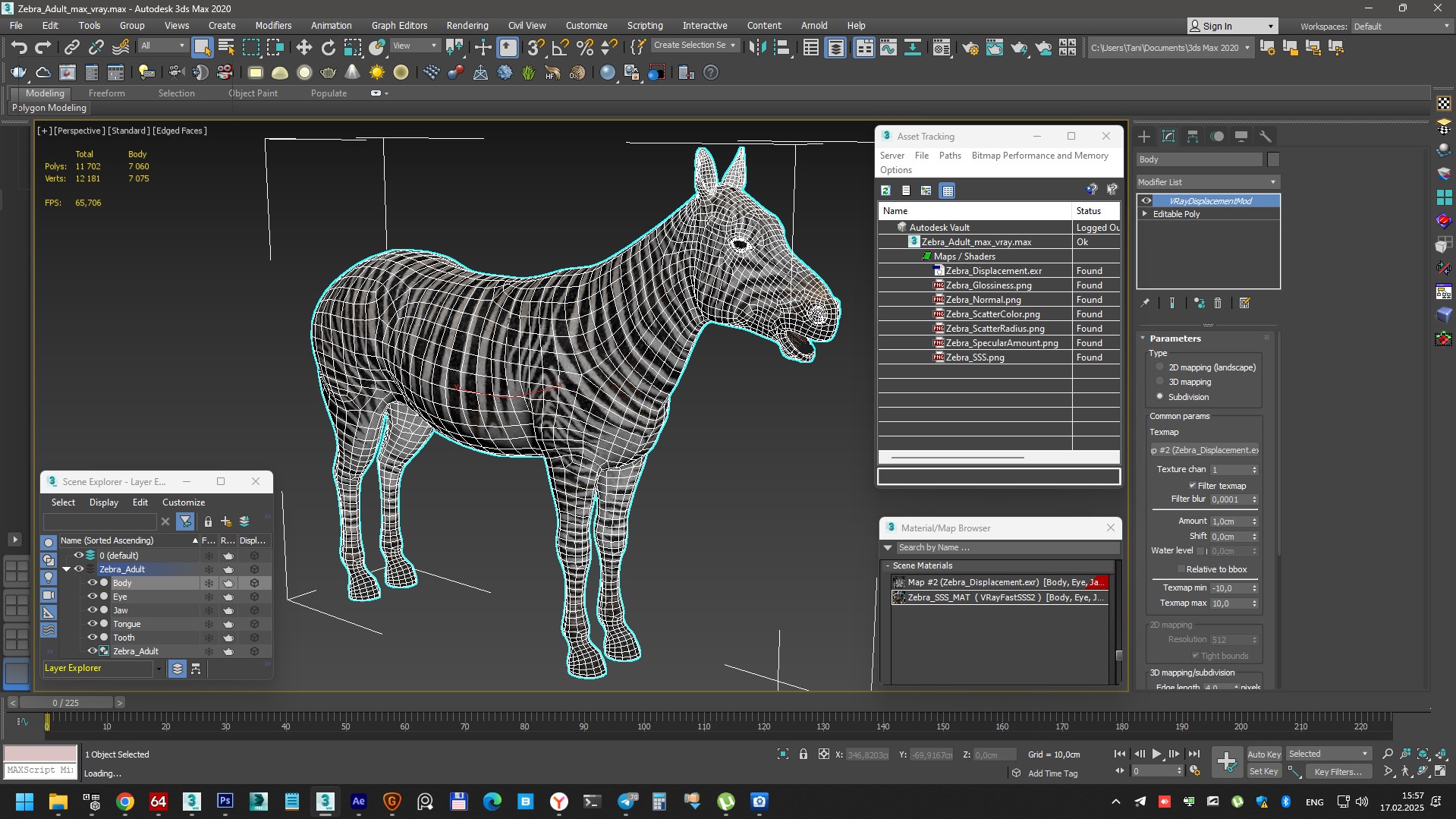 3D Zebra Adult