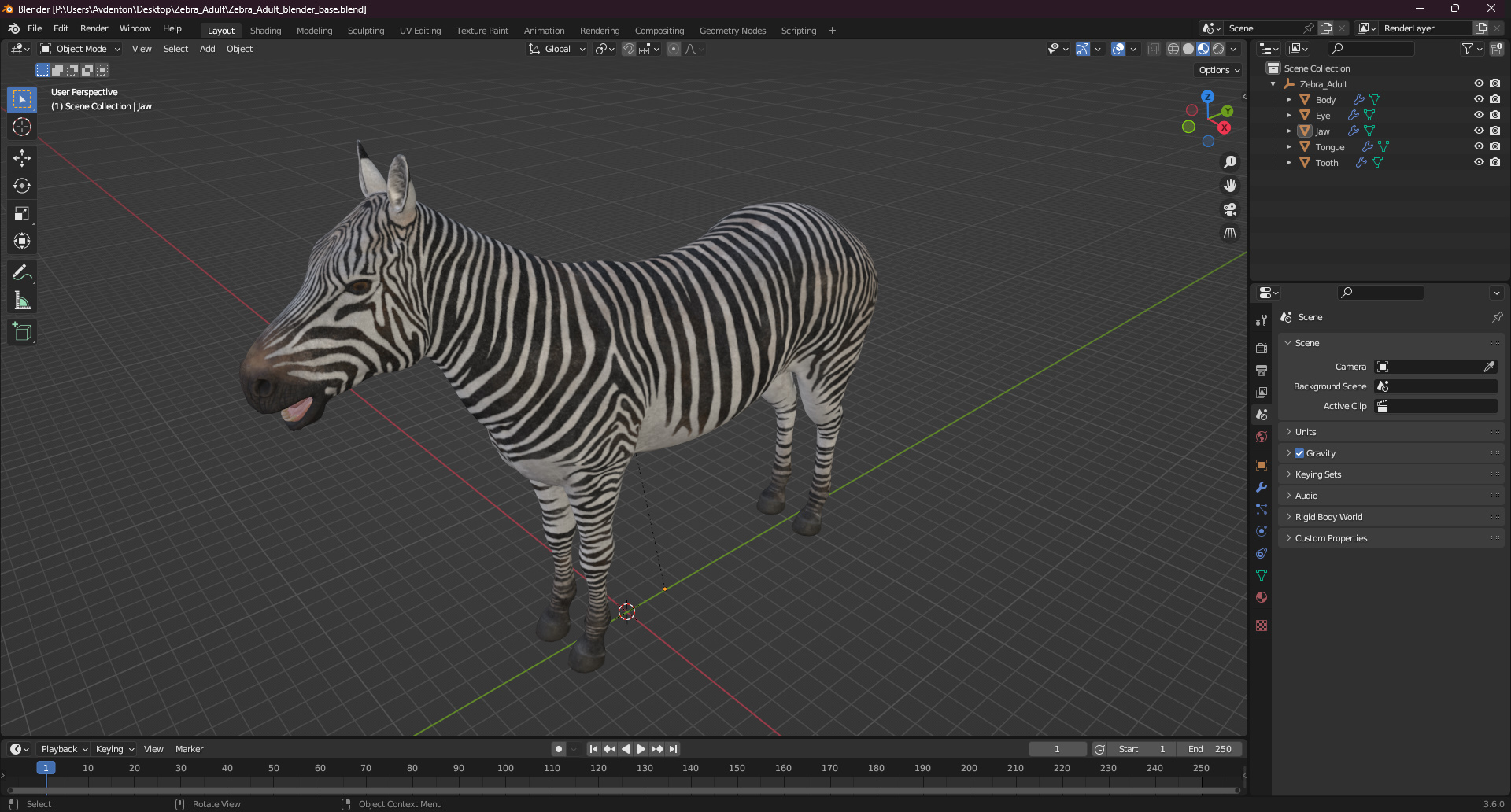 3D Zebra Adult