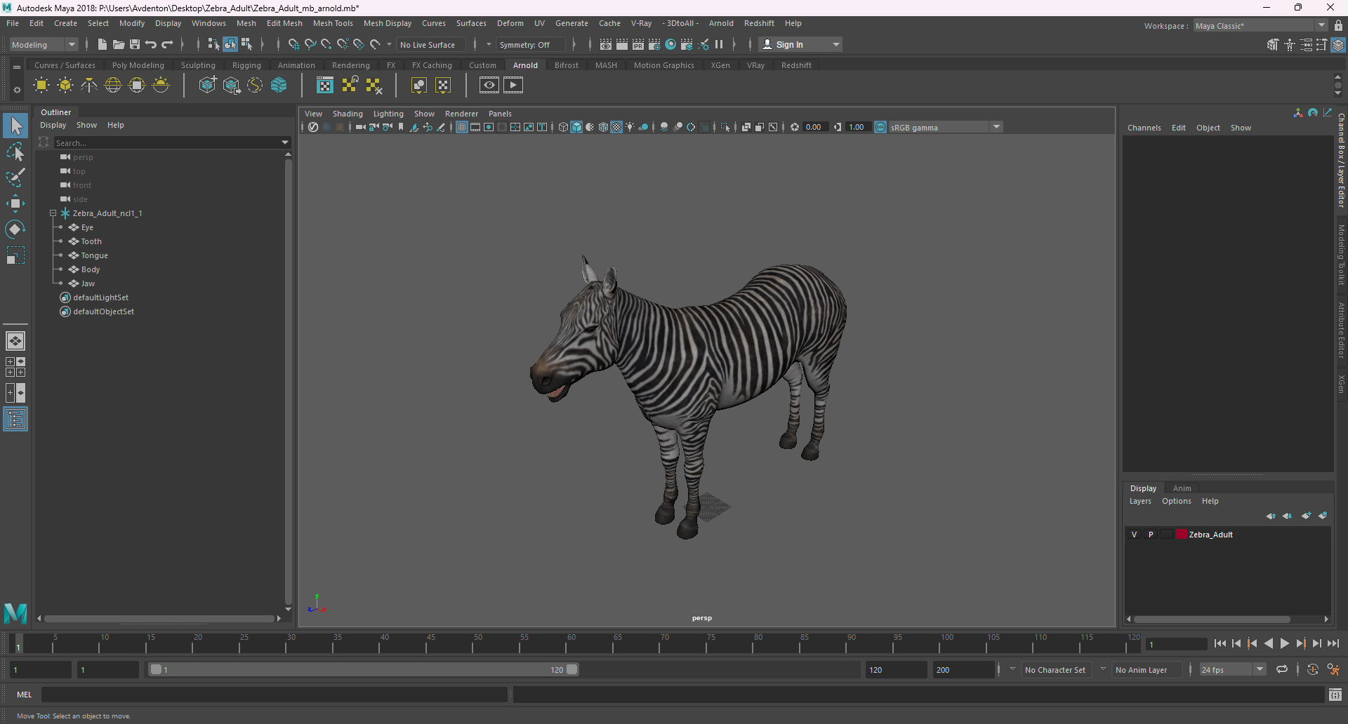 3D Zebra Adult