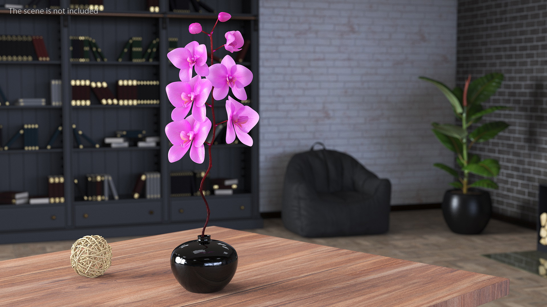 3D model Pink Orchid in Black Vase