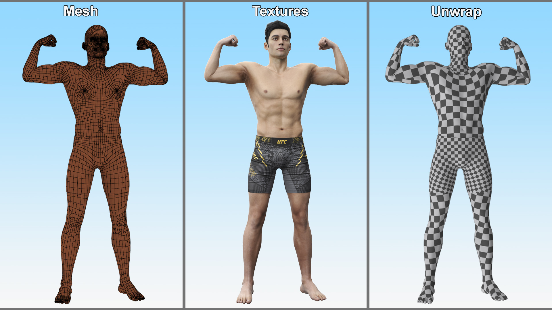 3D Fighter UFC MMA in Athletic Pose Fur