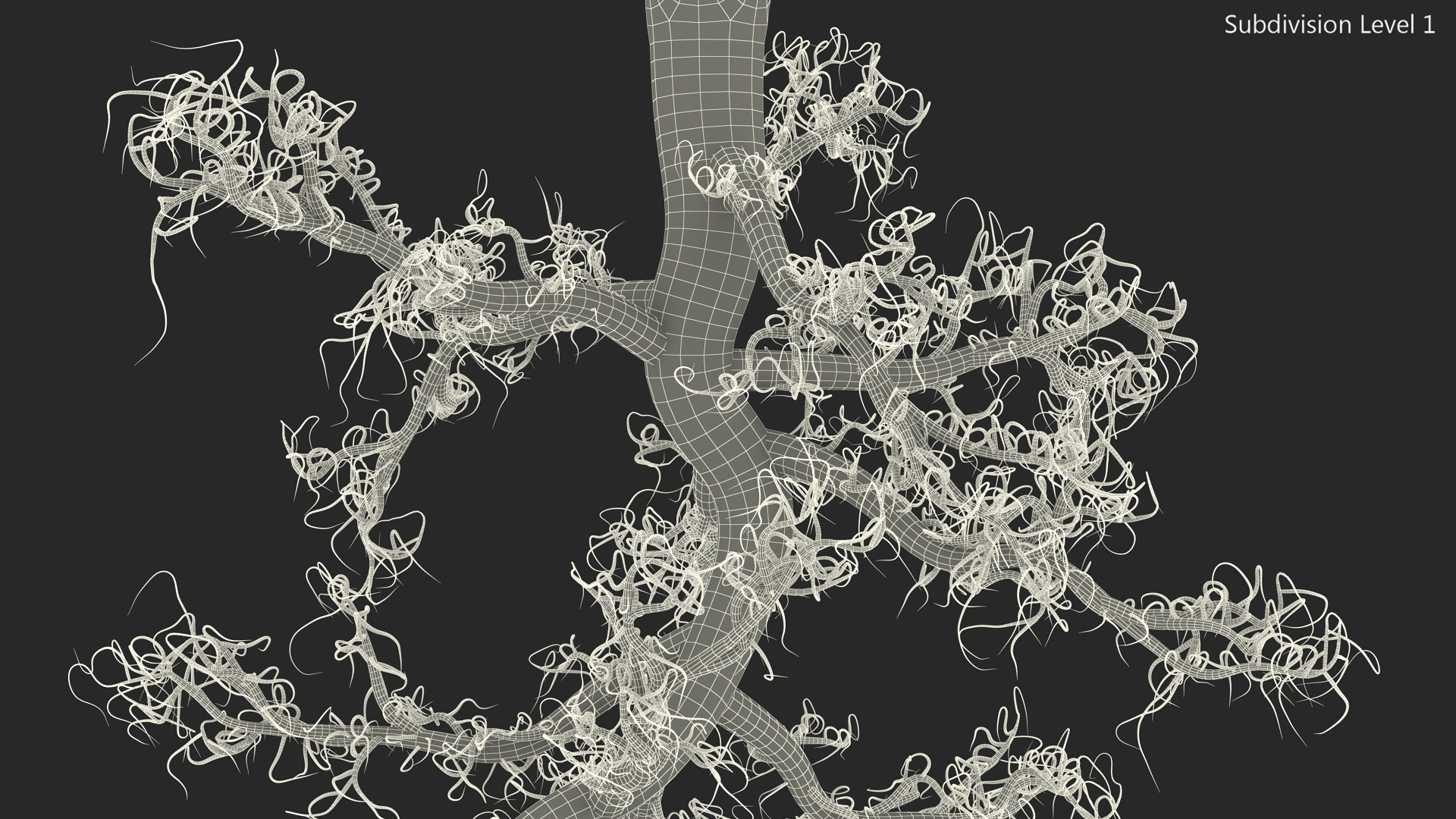 3D Plant Roots