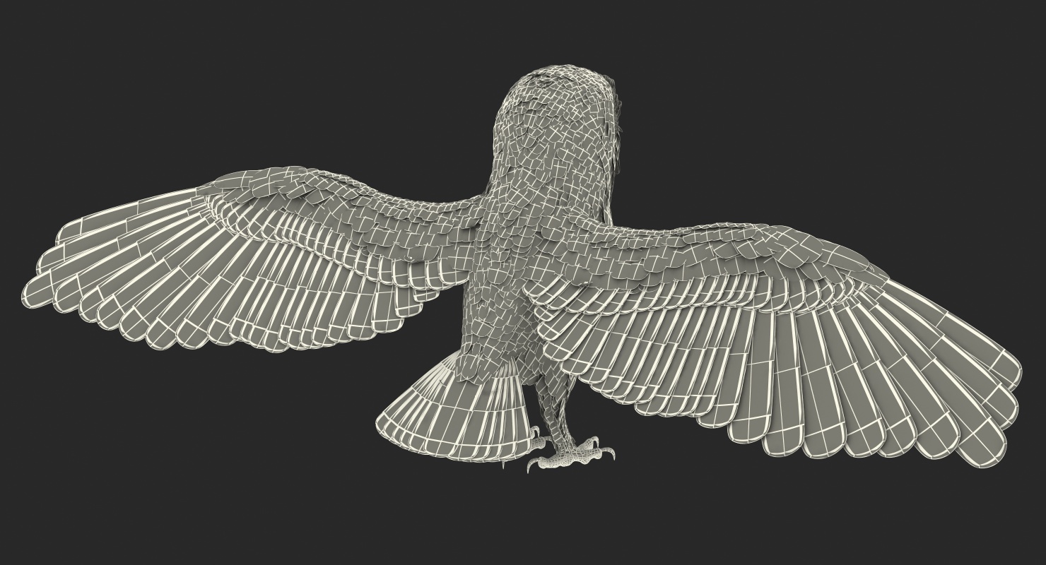 3D White Common Barn Owl