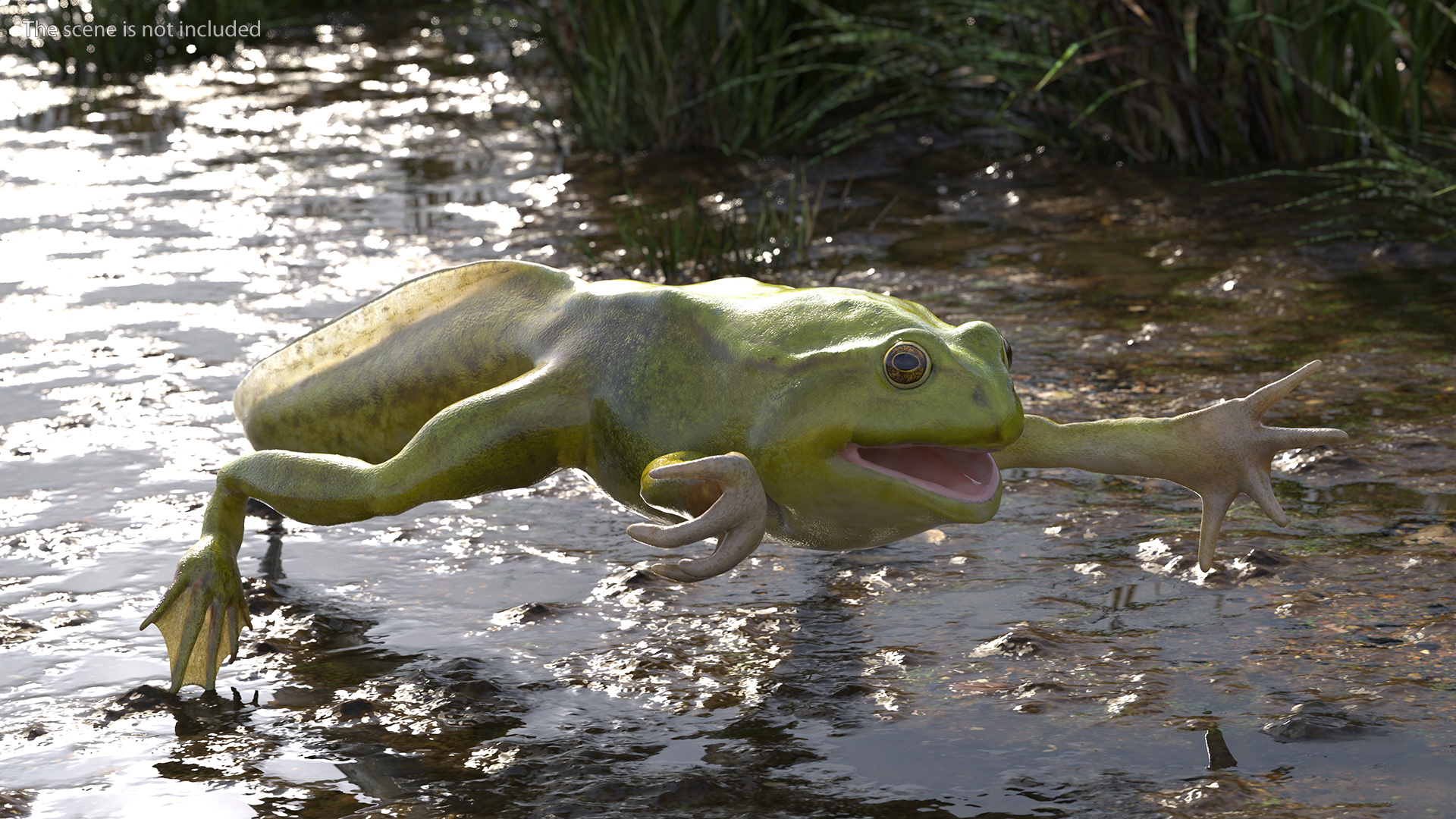 Tadpole with Four Legs Rigged 3D model