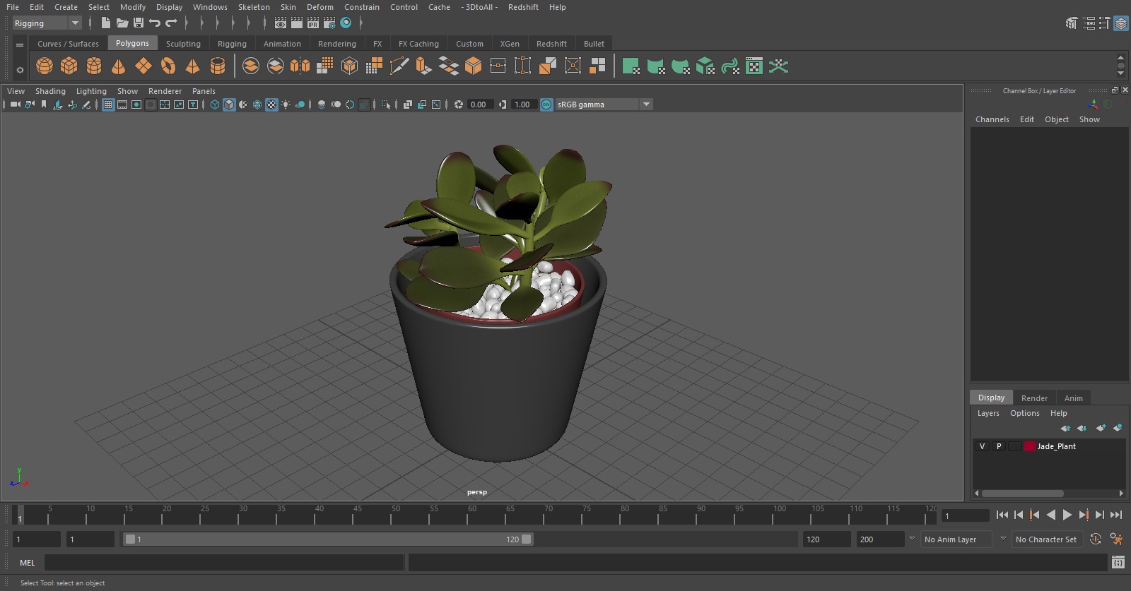 3D model Jade Plant