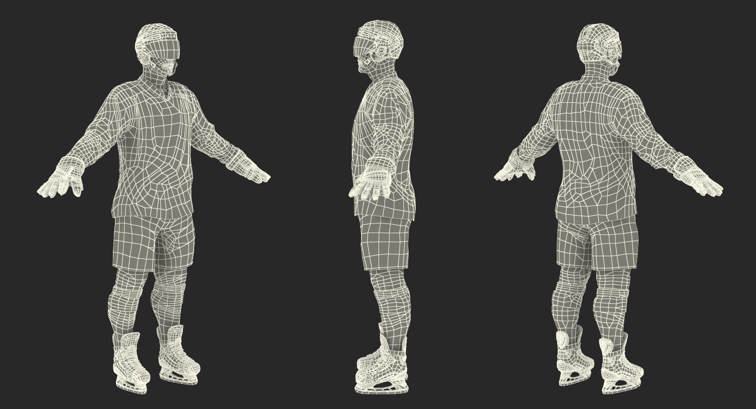 3D model Hockey Player Generic 2 Rigged