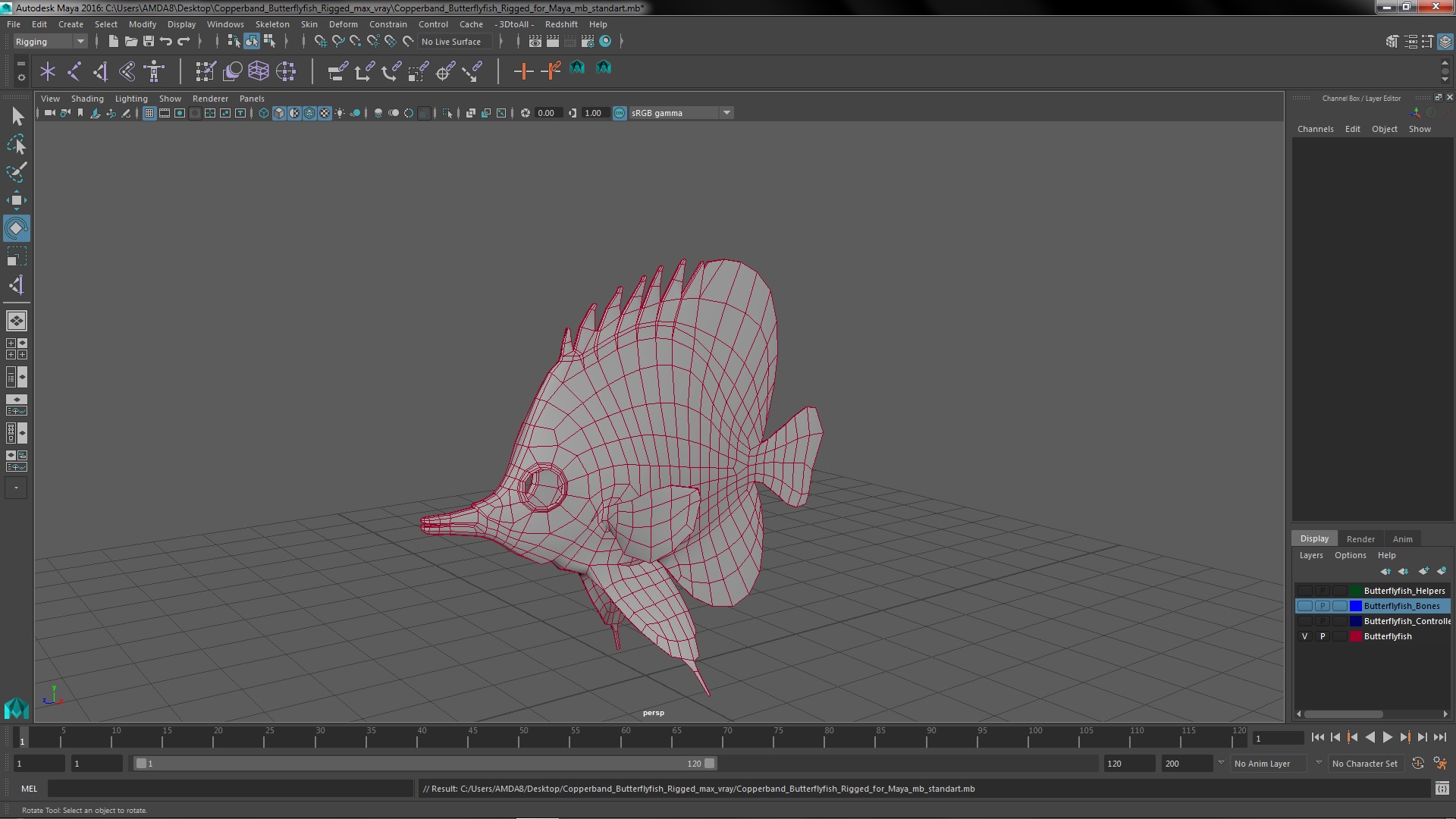 3D model Copperband Butterflyfish Rigged for Maya